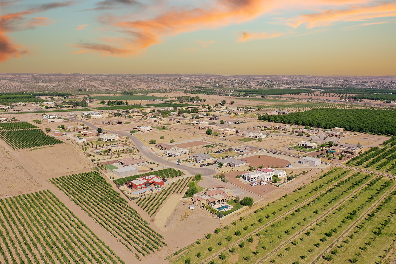 Vineyard Estates homes for sale in Las Cruces New Mexico