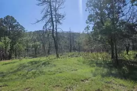 TBD Homestead Heights Block 5 Drive, Ruidoso, New Mexico 88345, ,Land,For Sale,Homestead Heights Block 5,2402468