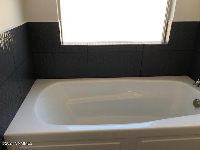 Owner's Bath Tub