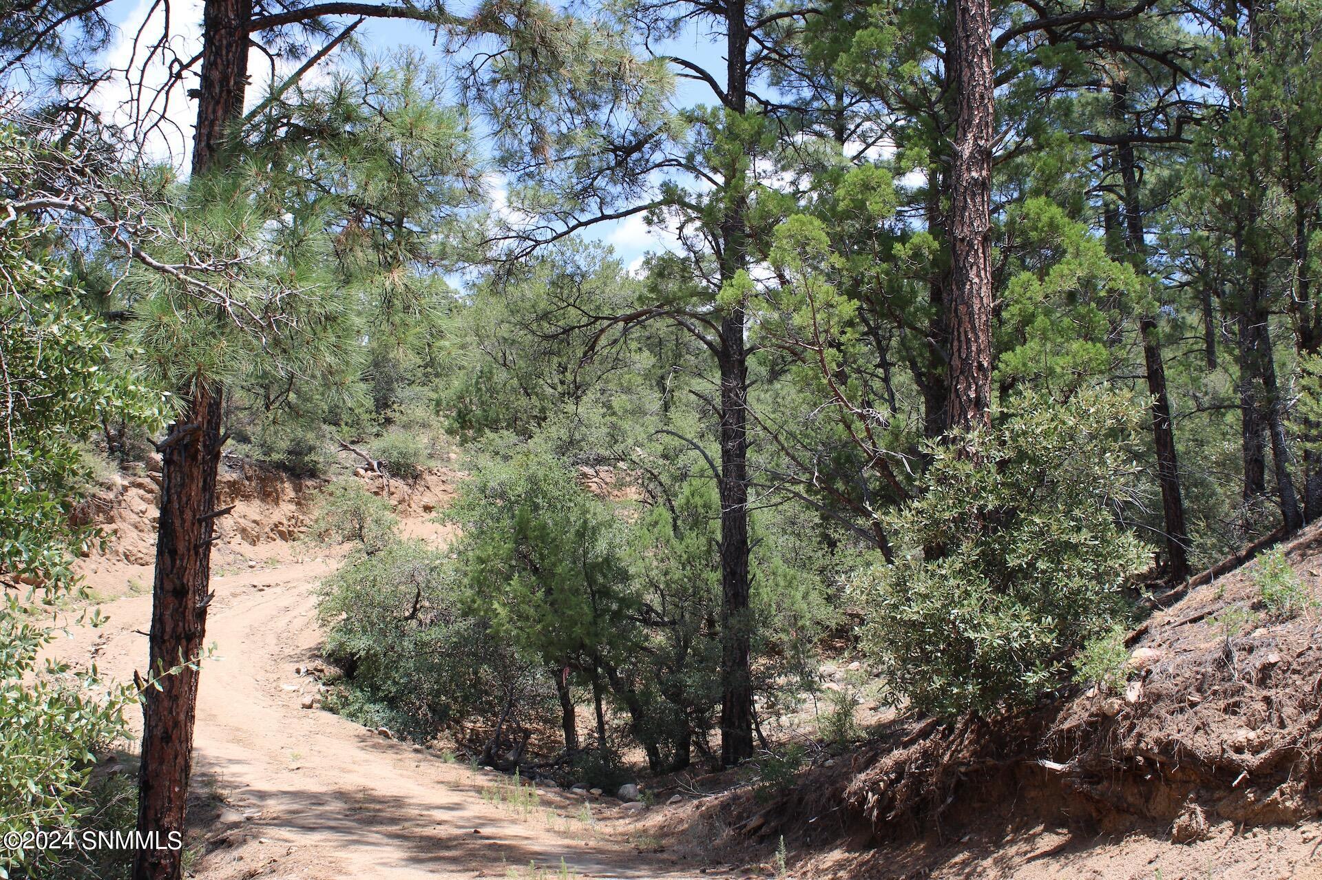 Road Leading up to Pad