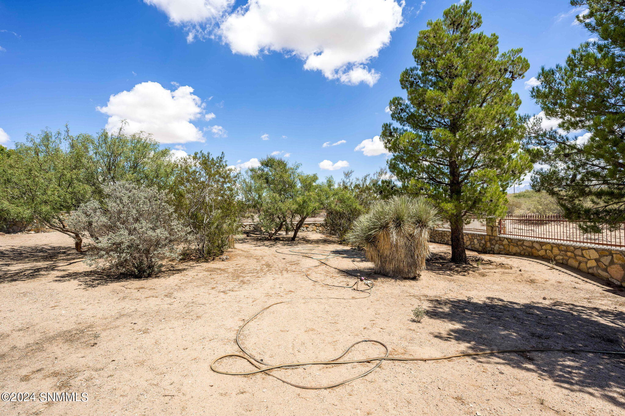 21-web-or-mls-Chiricahua 5050 NEW-24