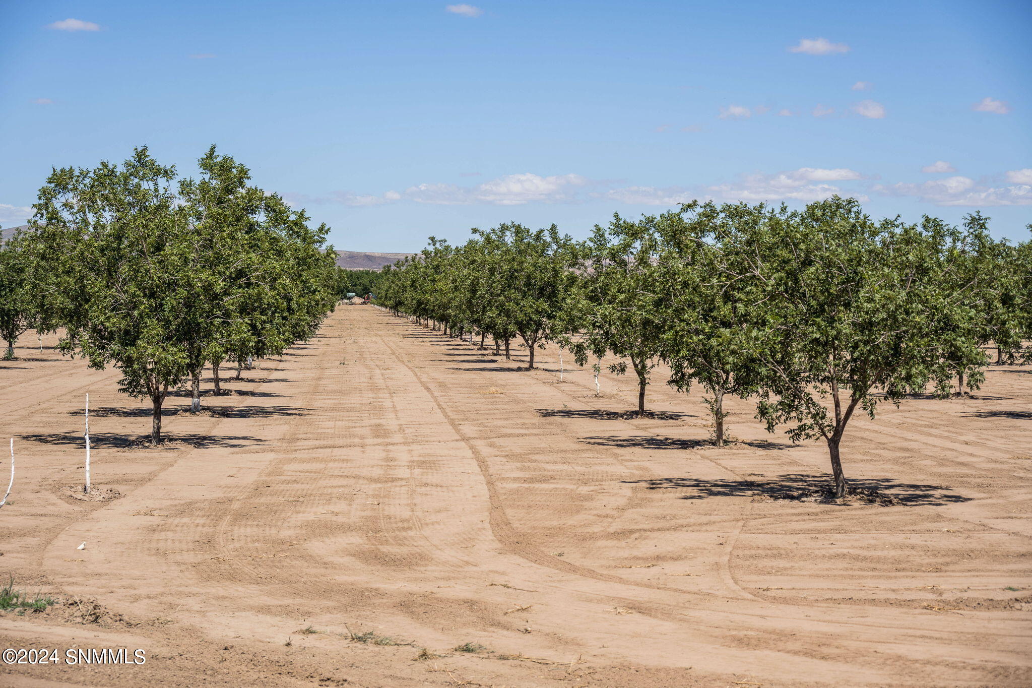 35-web-or-mls-Red Hills Road Farm-32