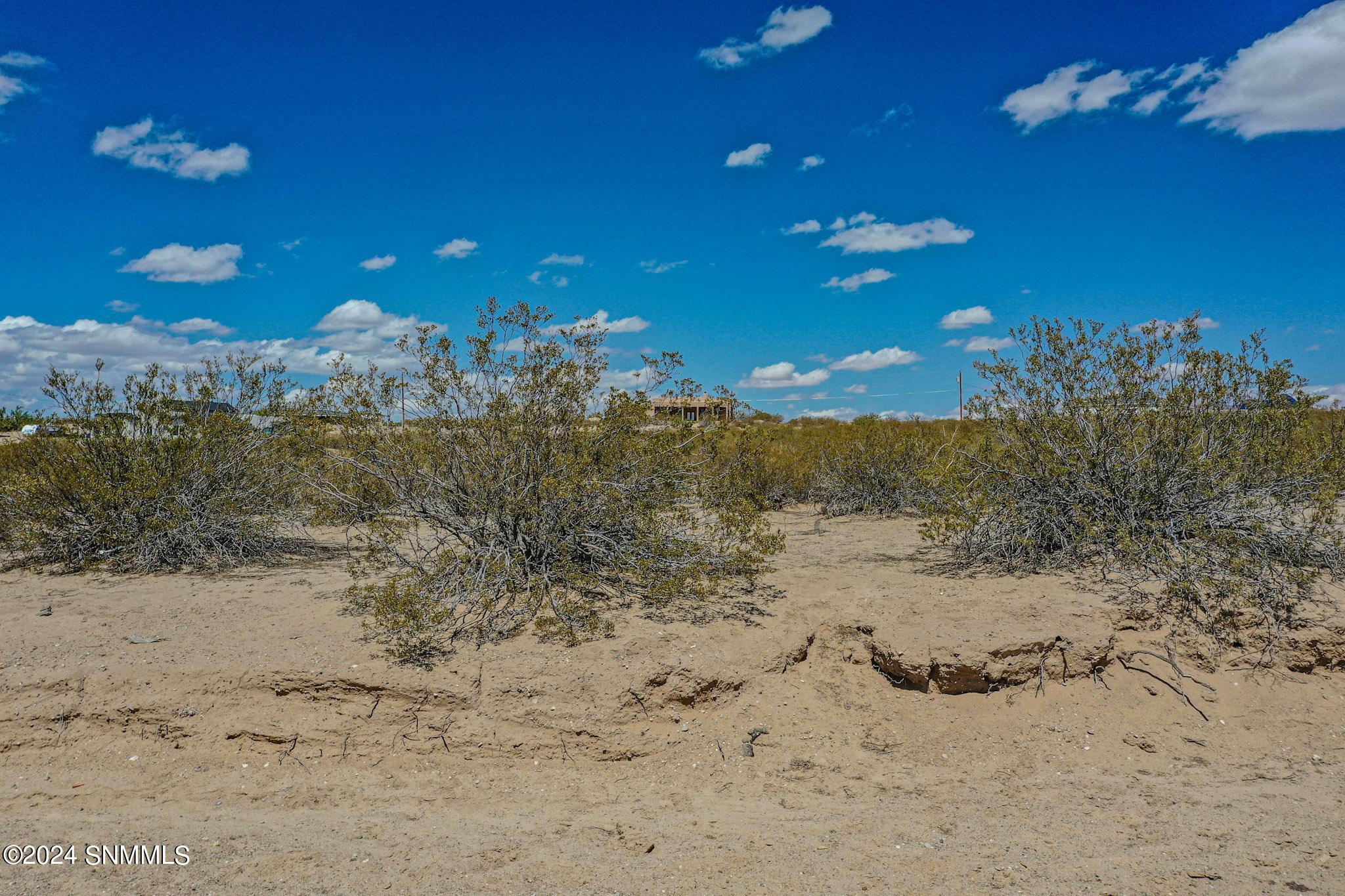 From Tucson Ave