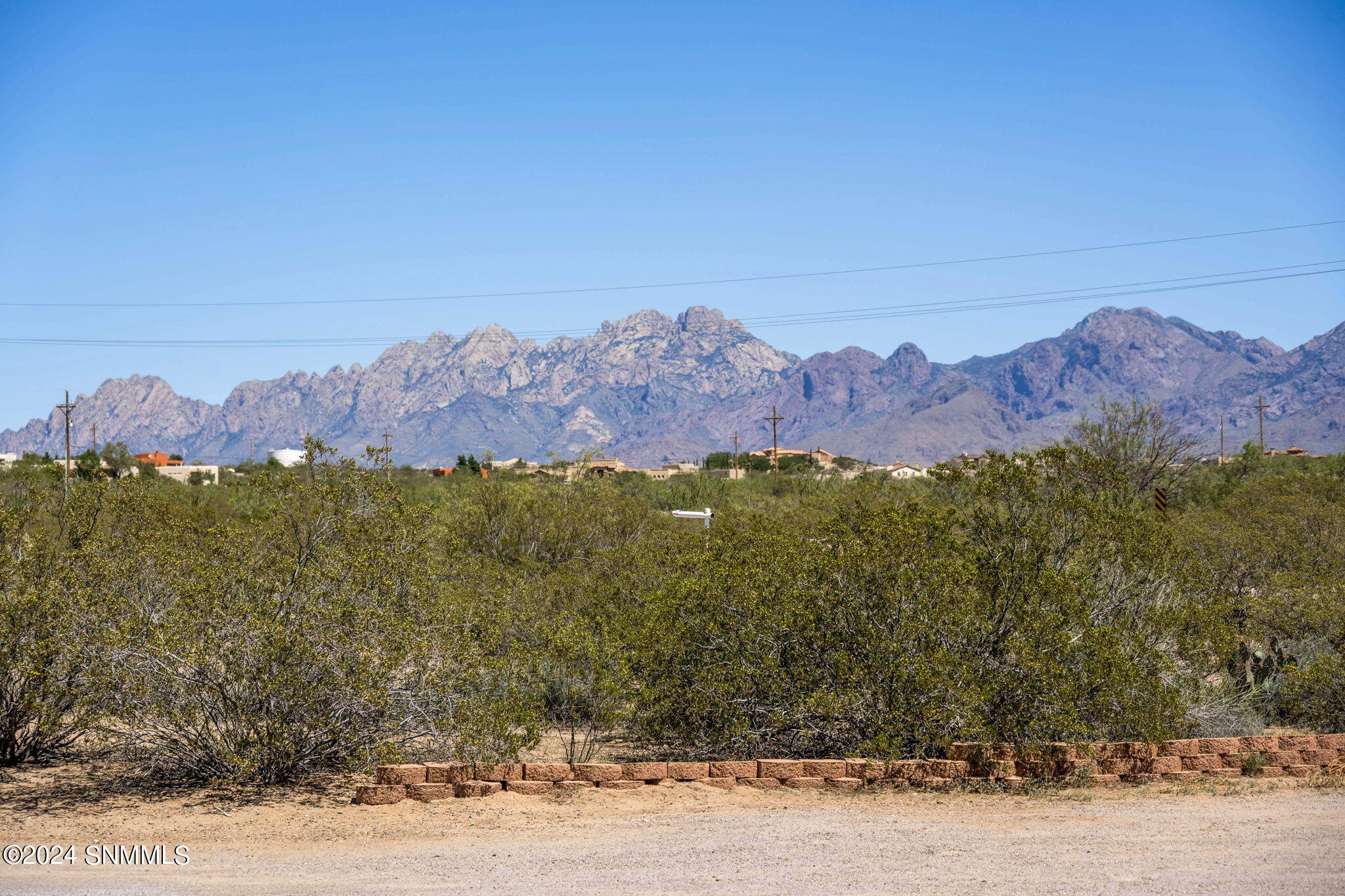 Organ Mountain Views