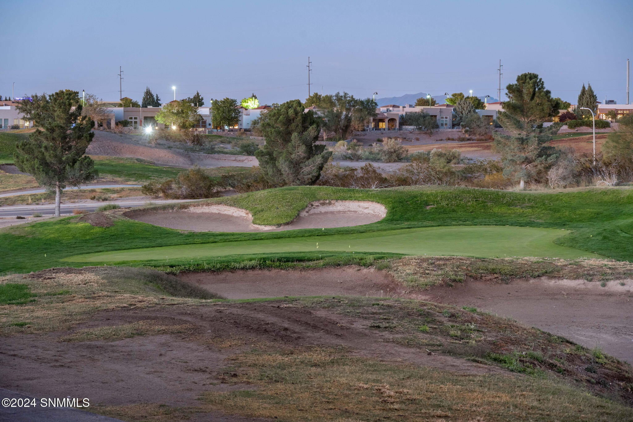 43-web-or-mls-Palm Canyon 1930-43