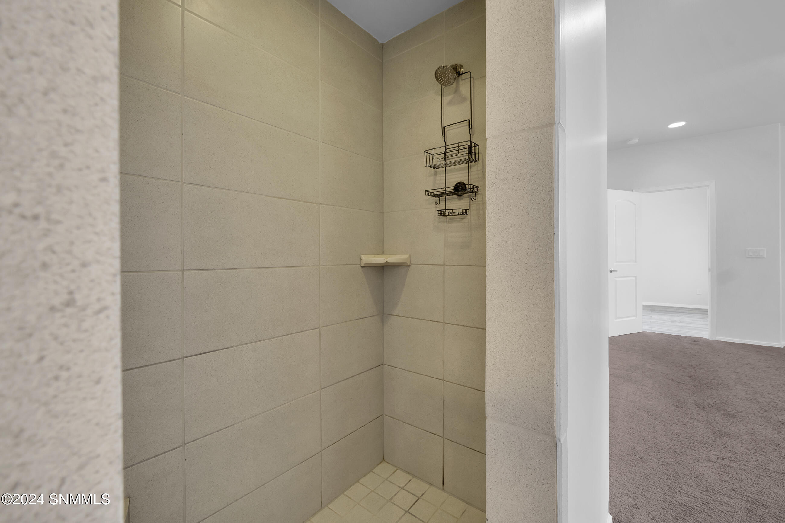 Primary Shower Stall