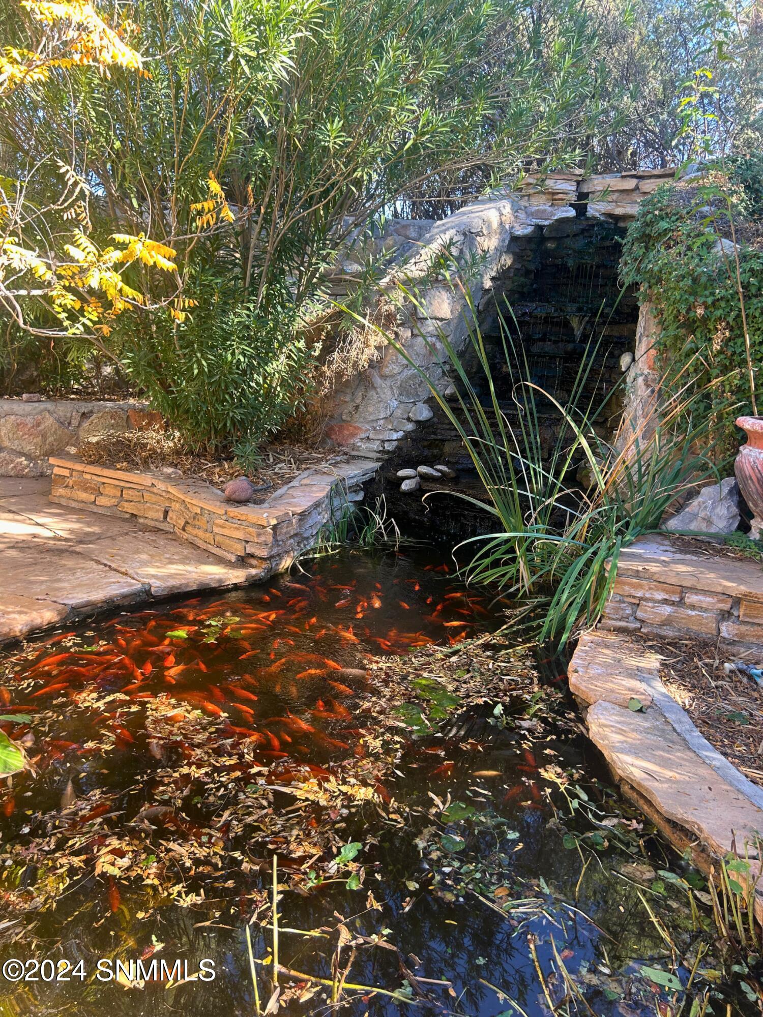 Waterfall and Pond