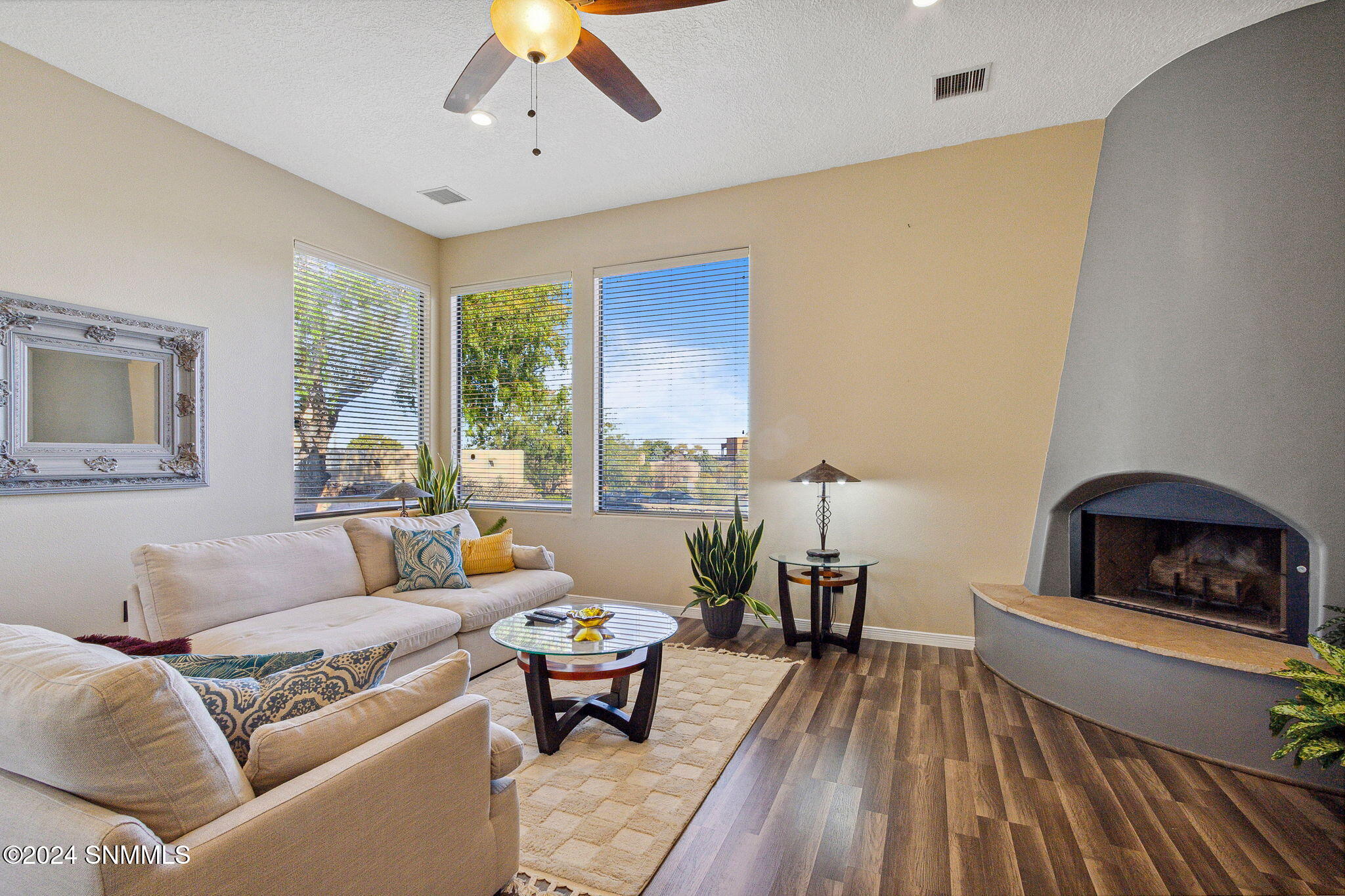 Living Room Fireplace & View