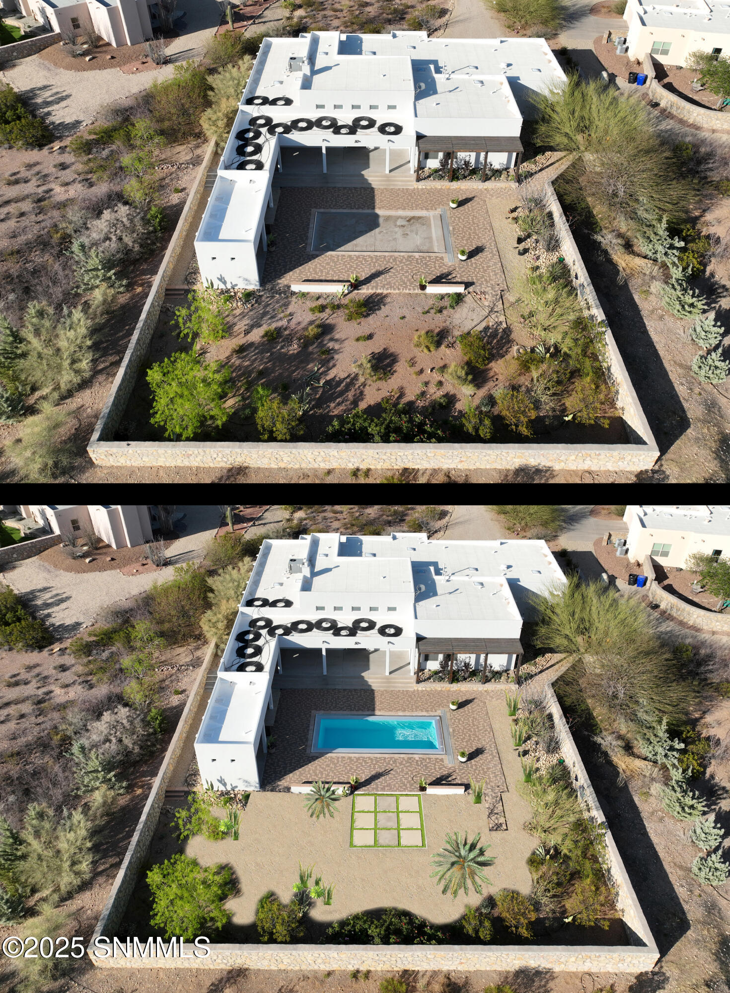 Barrel Cactus Before-After