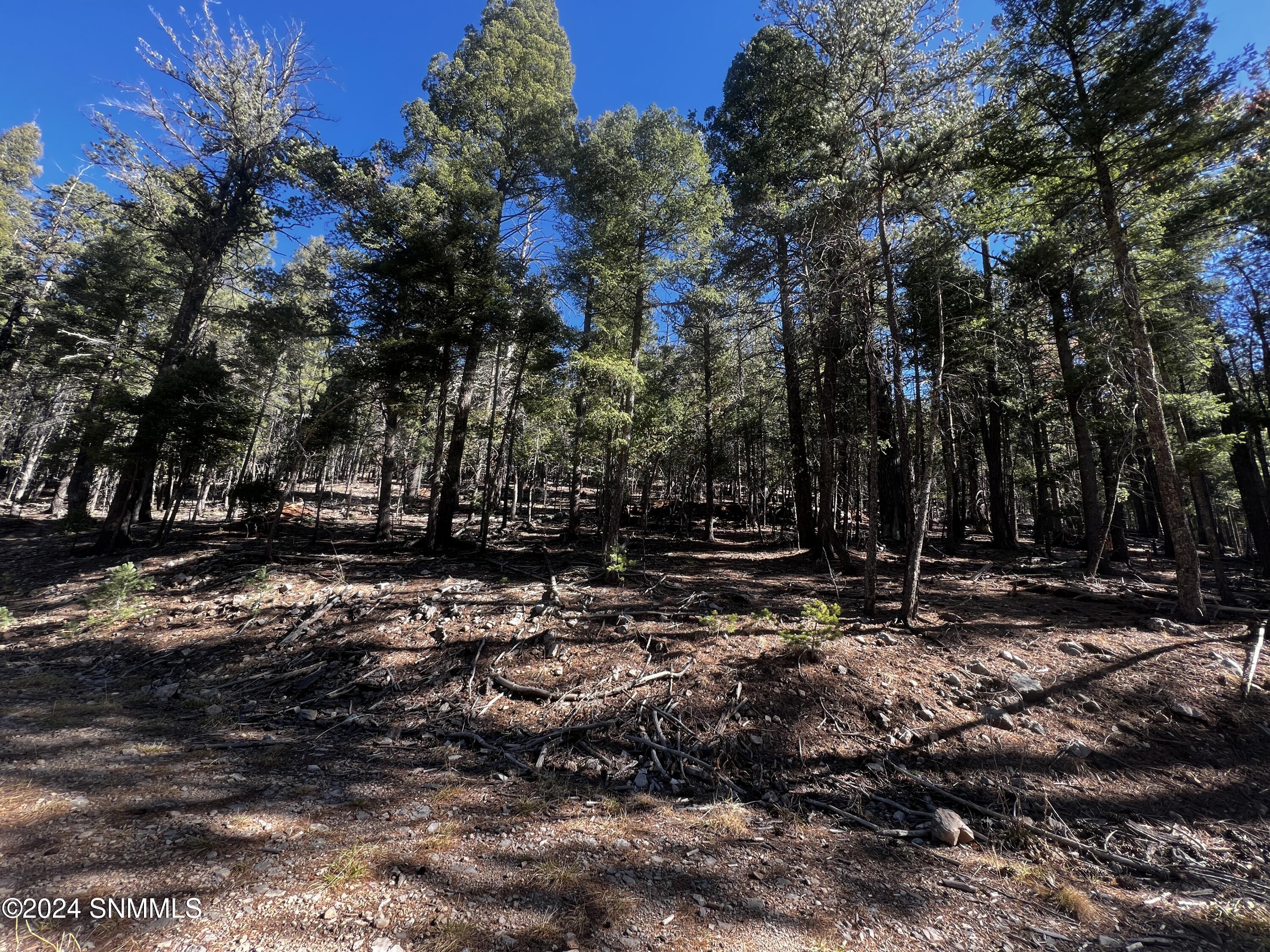 Property from Deer Springs Rd.