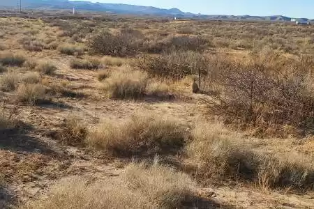 12445 Fort Bayard Road, Las Cruces, New Mexico 88007, ,Land,For Sale,Fort Bayard,2500095