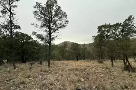 22 Harvest Road, Timberon, New Mexico 88350, ,Land,For Sale,Harvest,2500377