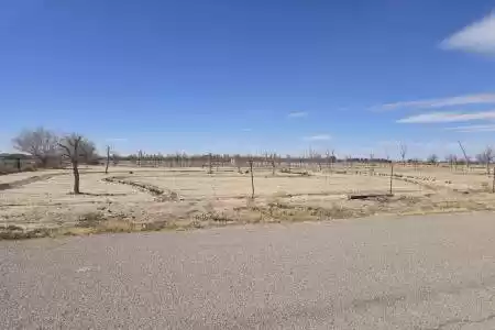 505 Palomino Road, Vado, New Mexico 88072, ,Land,For Sale,Palomino,2500430