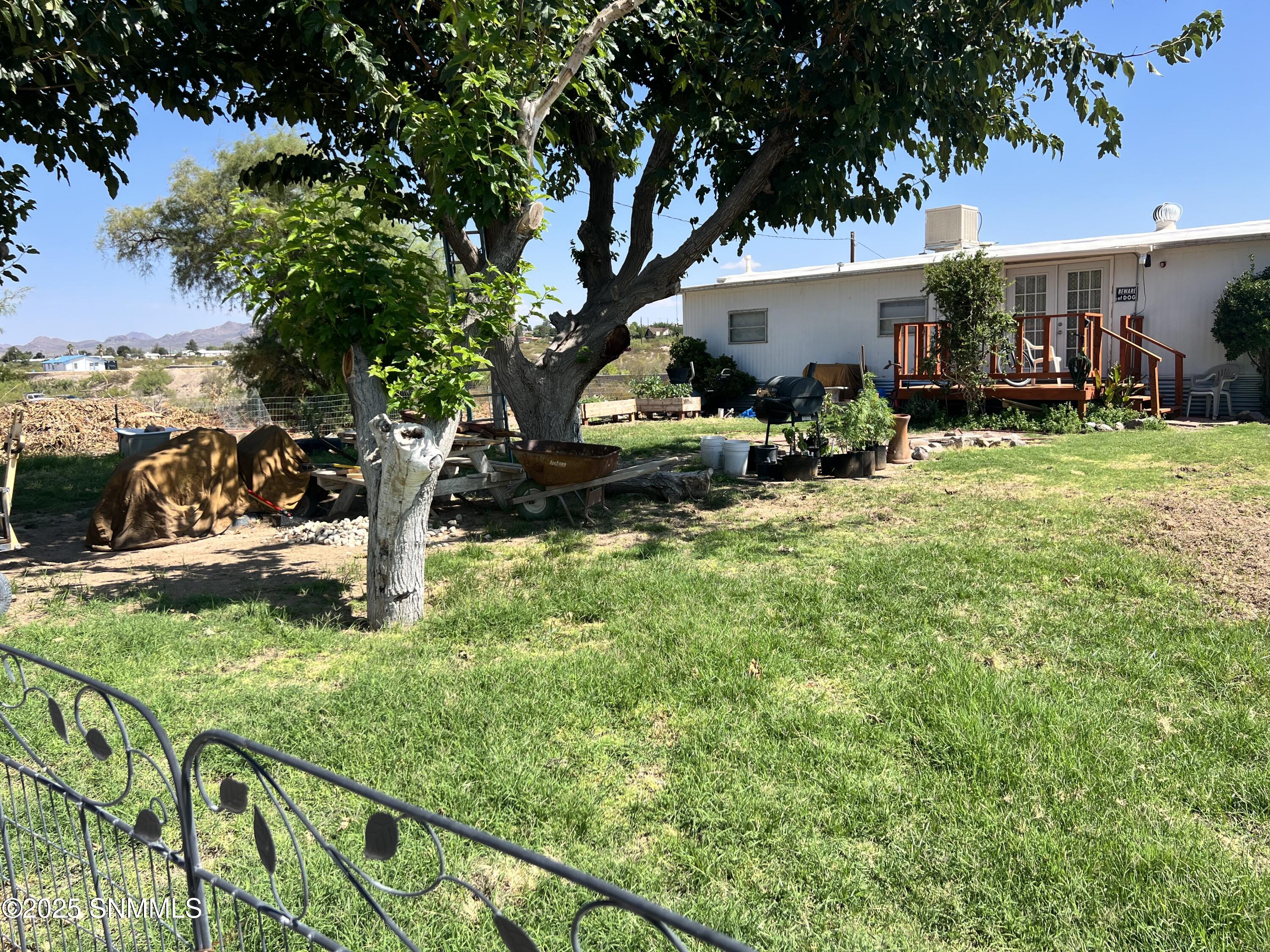 Photo Aug 27 2023, 11 11 56 AM