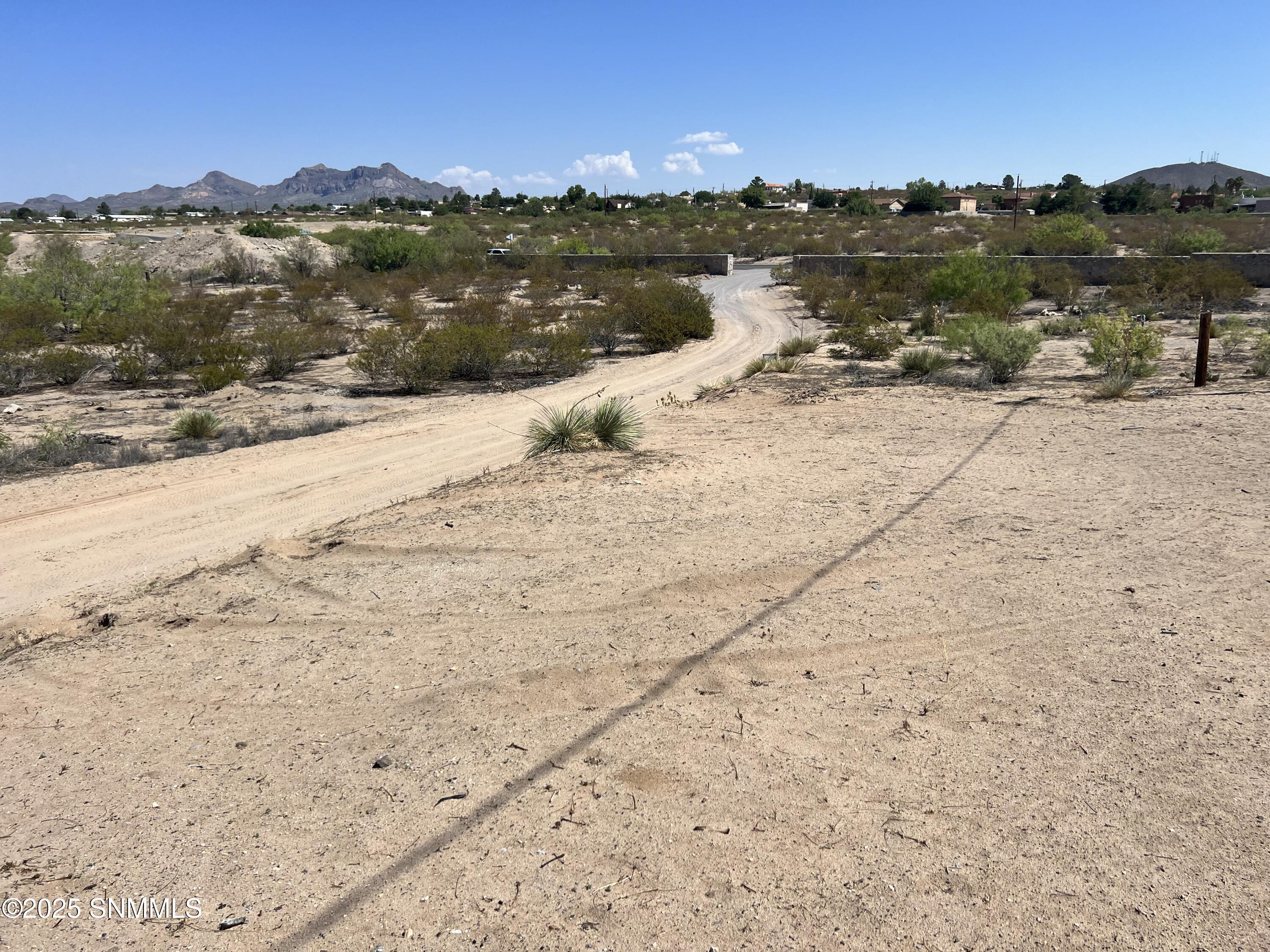 Photo Aug 27 2023, 11 16 00 AM