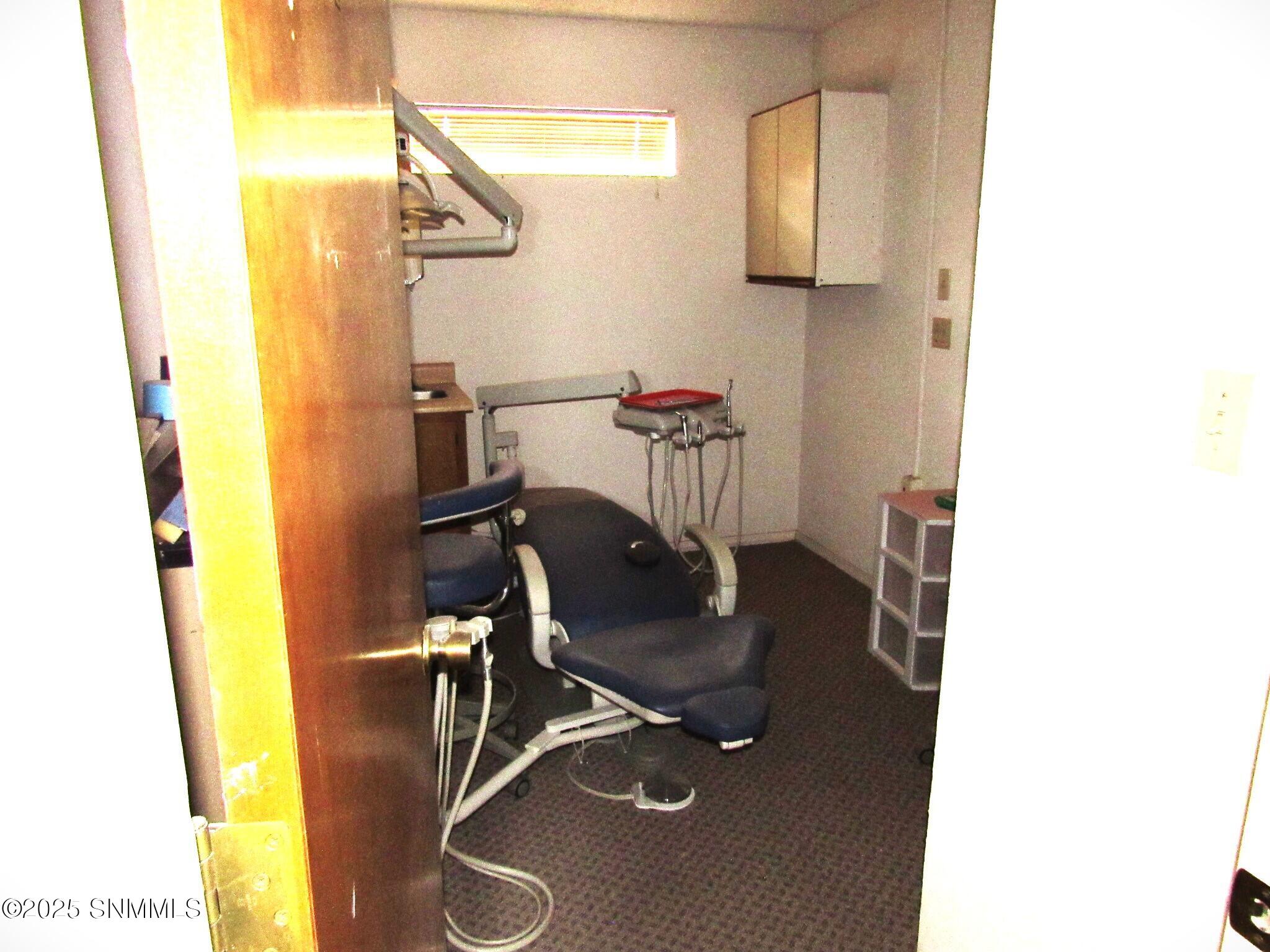 Highlighted 2 IMG_5944