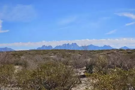 31 Tucson Avenue, Las Cruces, New Mexico 88012, ,Land,For Sale,Tucson,2501316