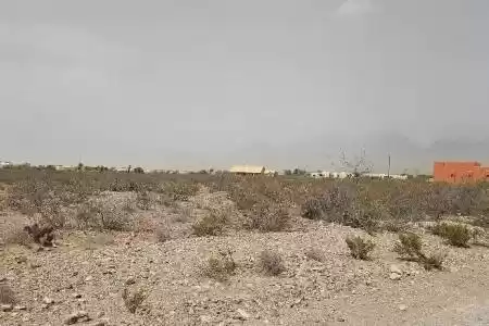 8925 Windancer Trail, Las Cruces, New Mexico 88011, ,Land,For Sale,Windancer,2501386