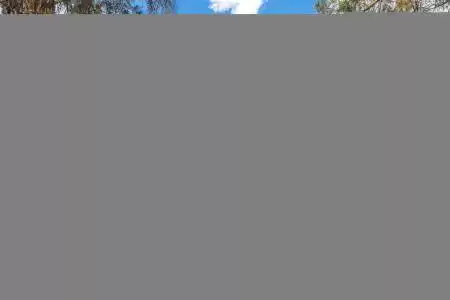 701 Parker Road, Las Cruces, New Mexico 88005, 3 Bedrooms Bedrooms, ,2 BathroomsBathrooms,Residential,For Sale,Parker,2501341