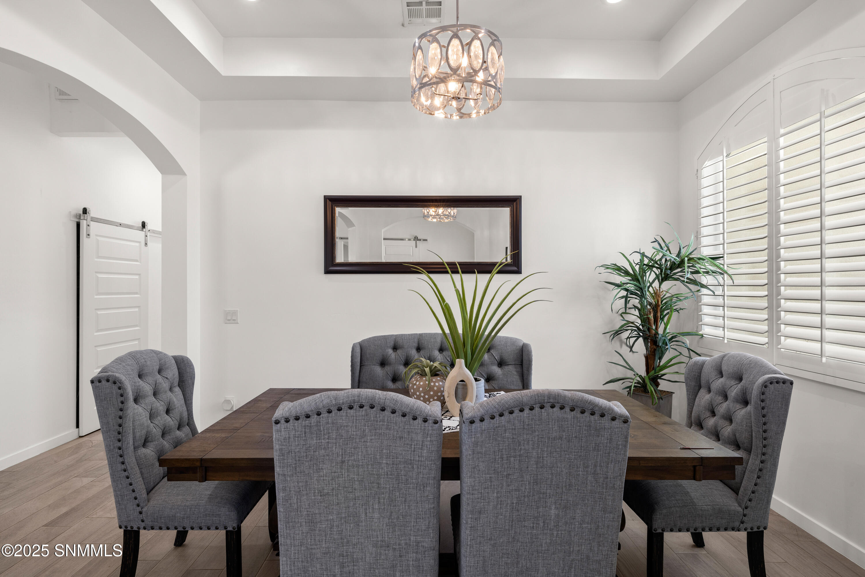 1122 Snowy Egret-MLS-Camera-Guy-13