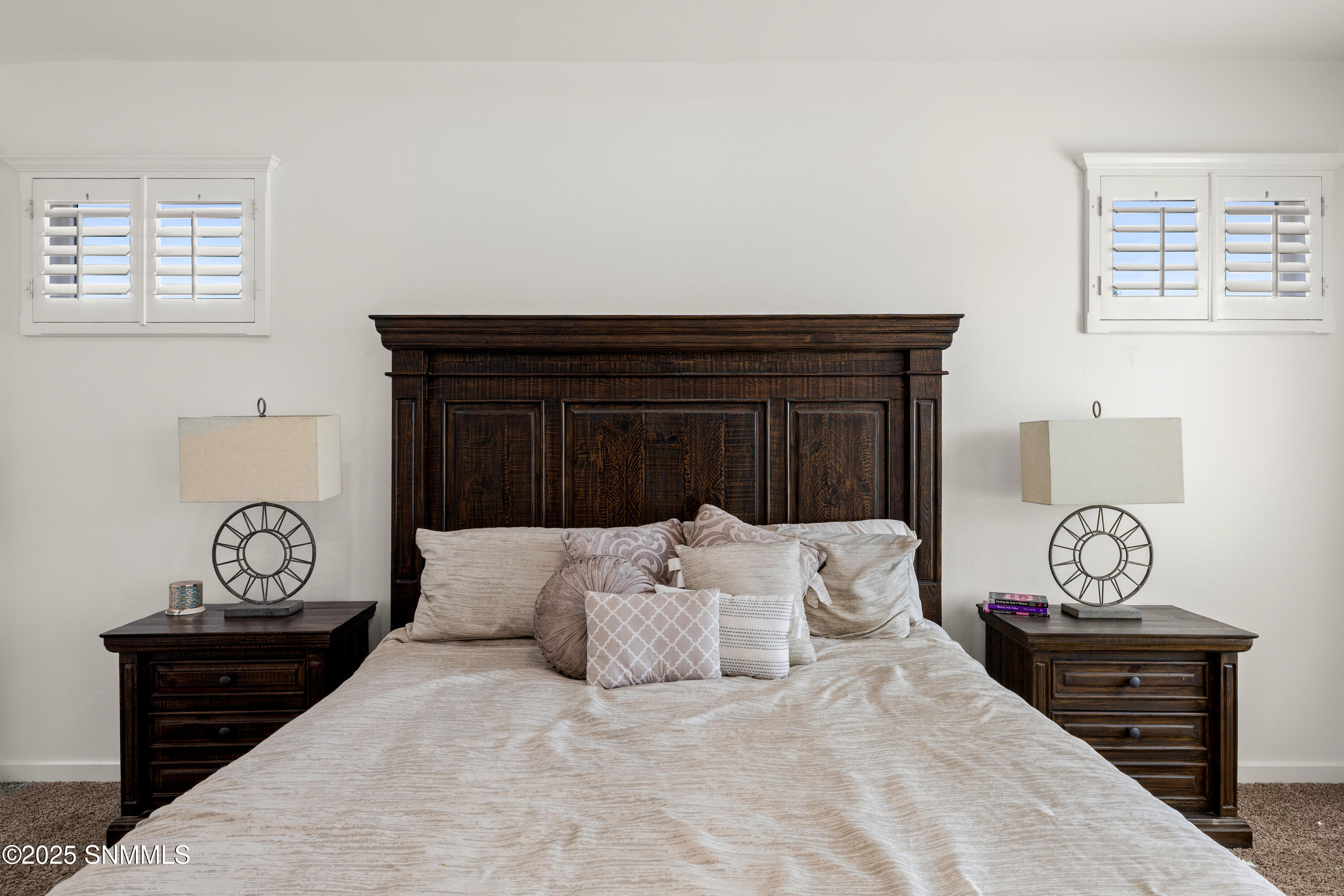 1122 Snowy Egret-MLS-Camera-Guy-19