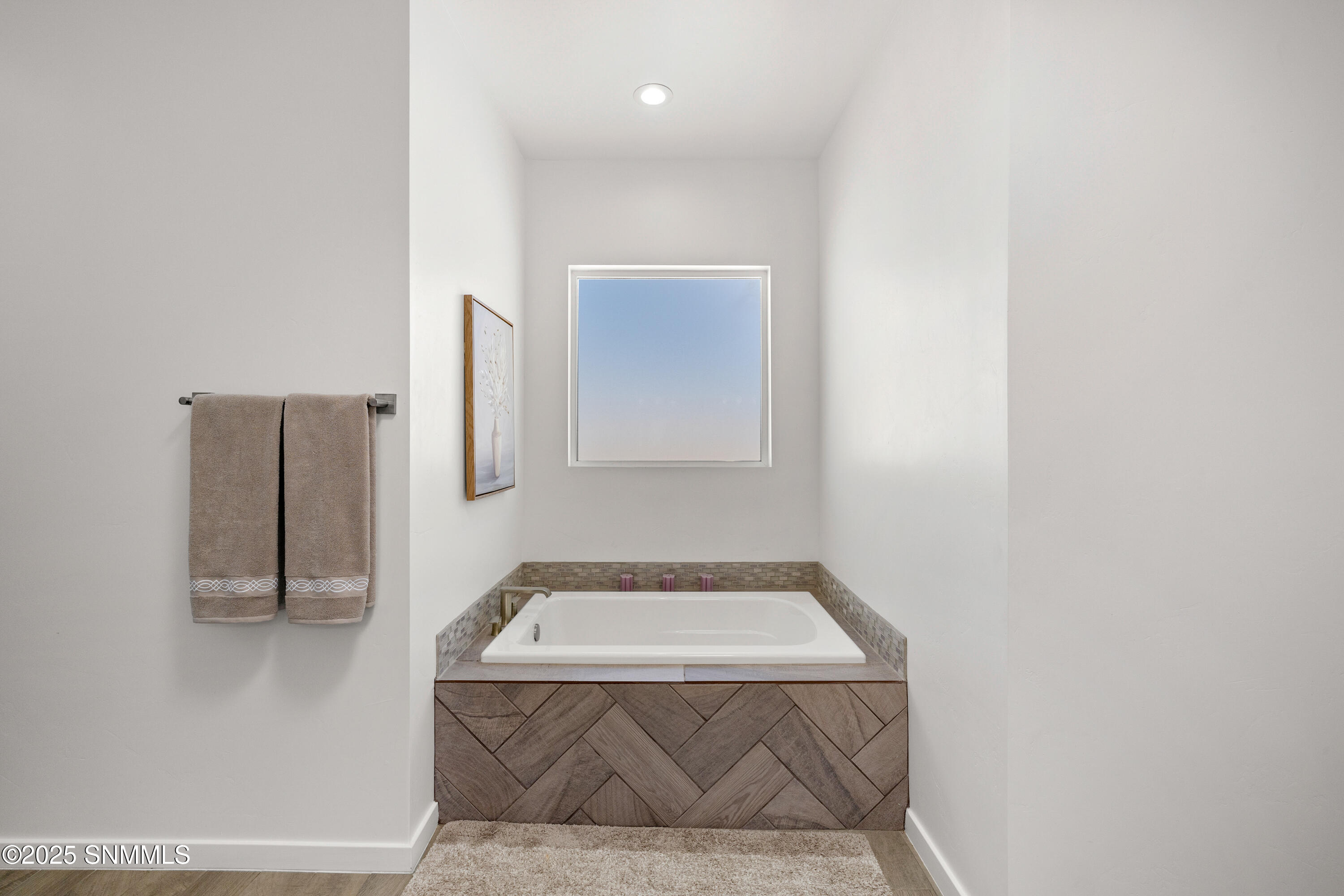 1122 Snowy Egret-MLS-Camera-Guy-22