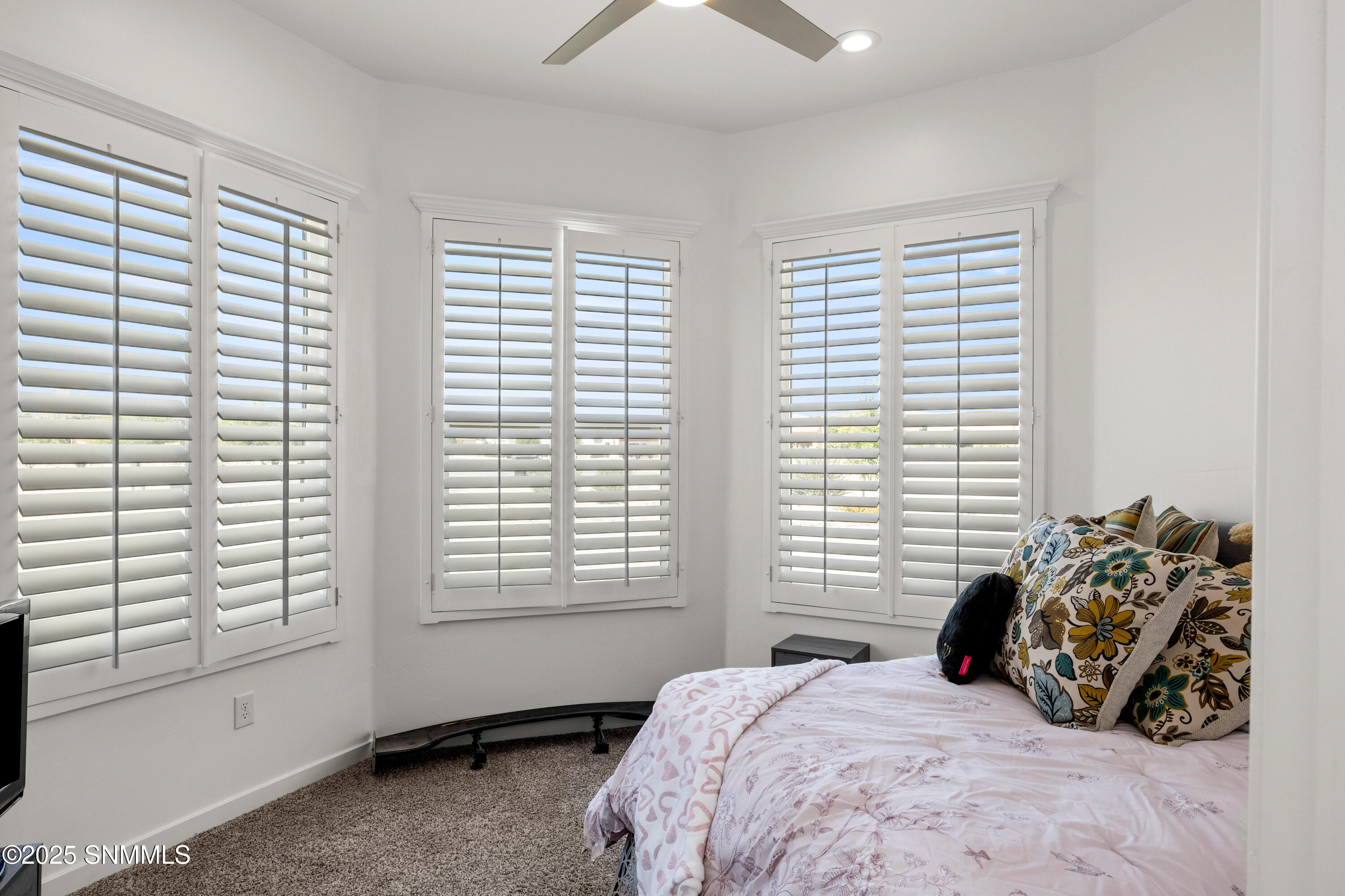 1122 Snowy Egret-MLS-Camera-Guy-26