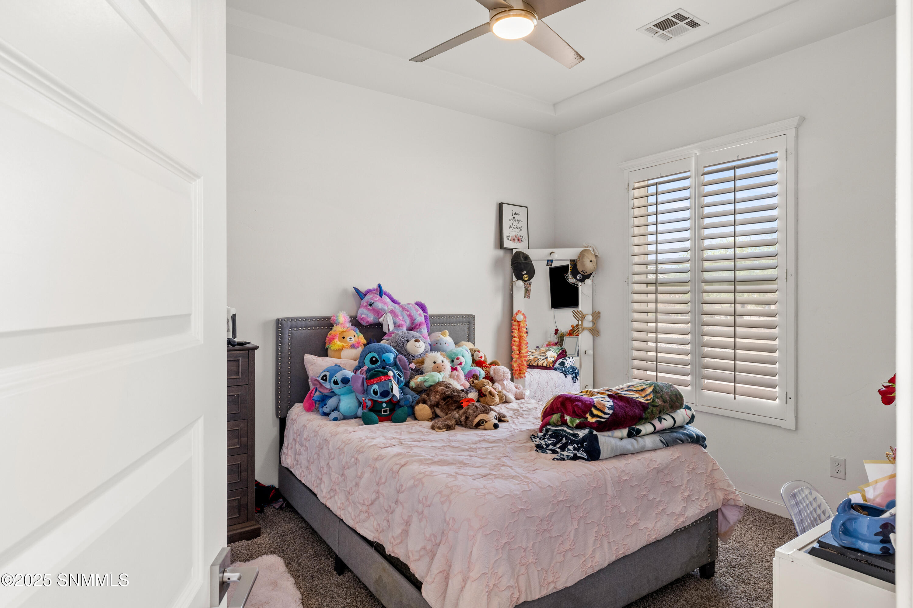 1122 Snowy Egret-MLS-Camera-Guy-28