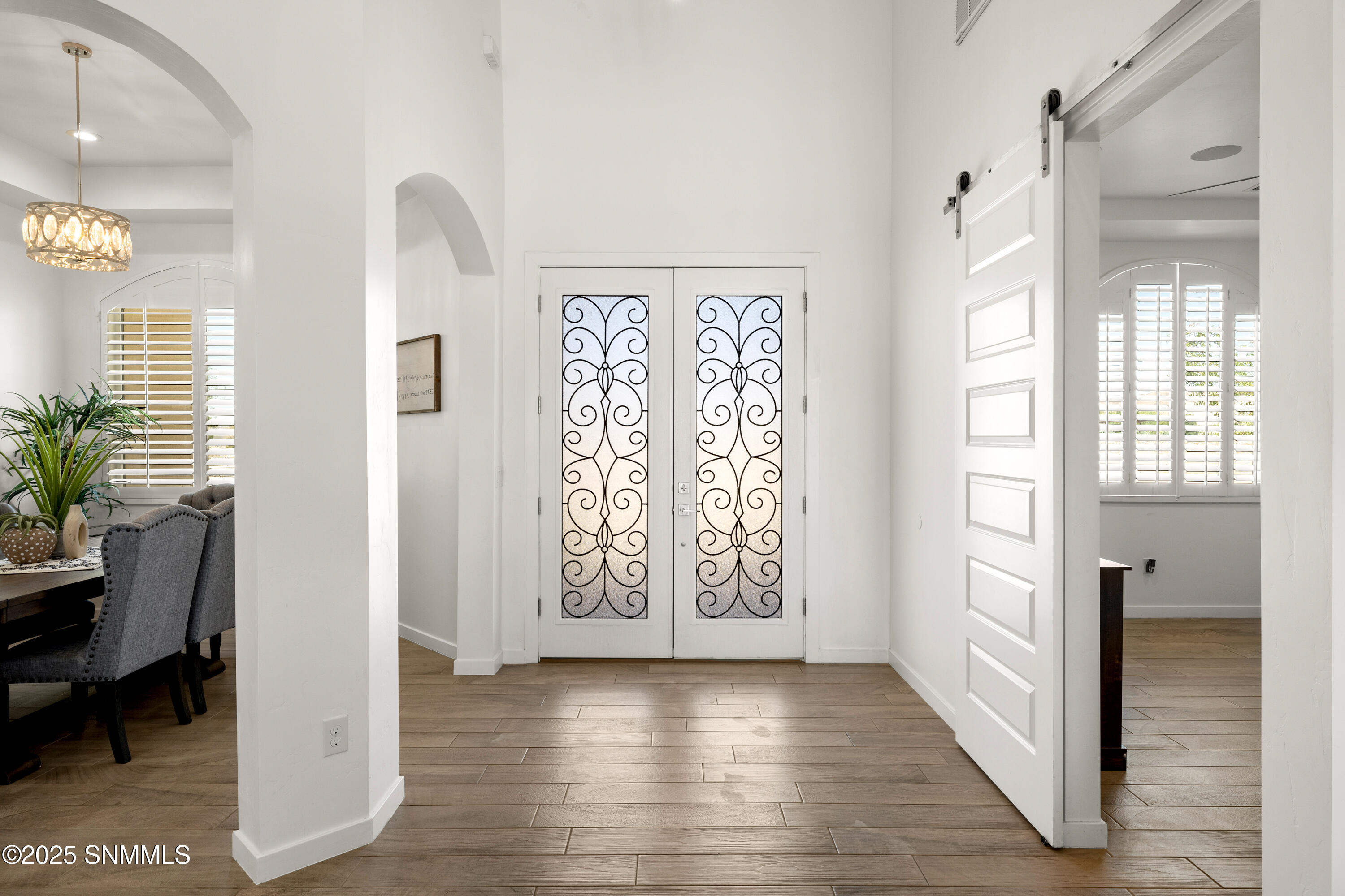 1122 Snowy Egret-MLS-Camera-Guy-6