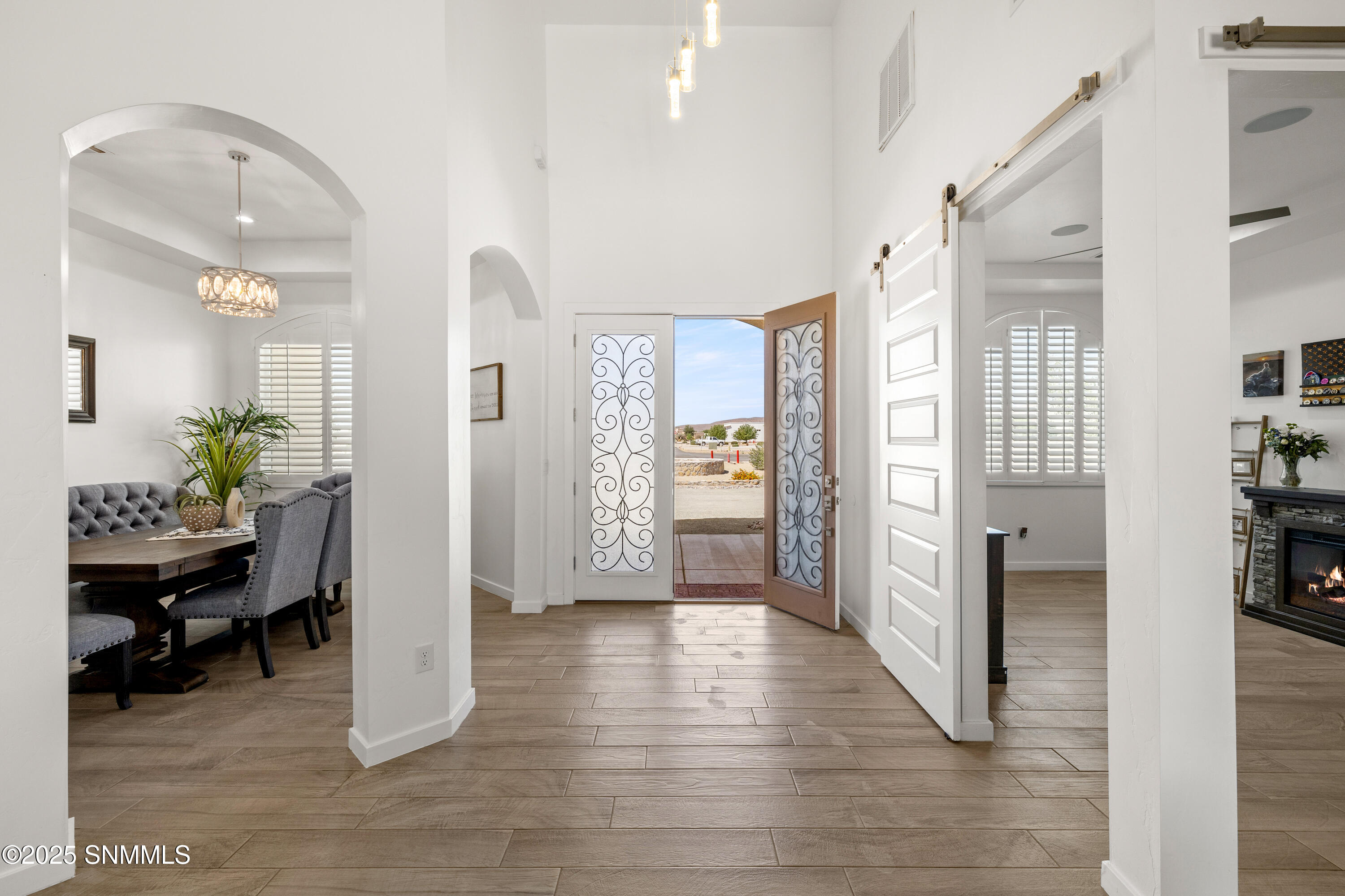 1122 Snowy Egret-MLS-Camera-Guy-7