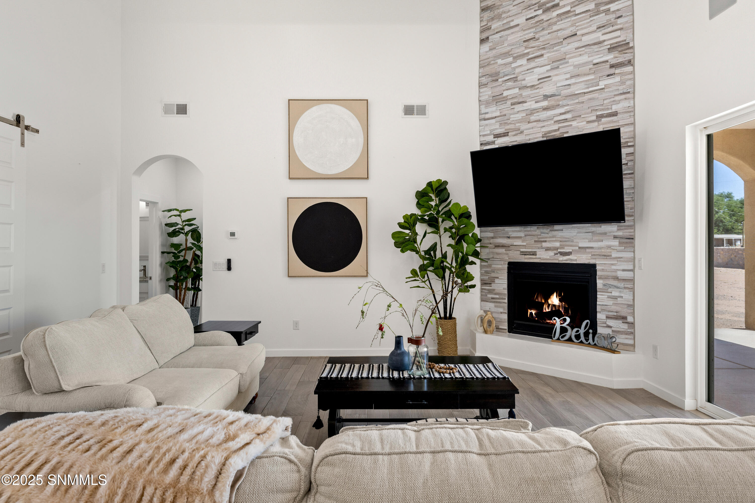 1122 Snowy Egret-MLS-Camera-Guy-8