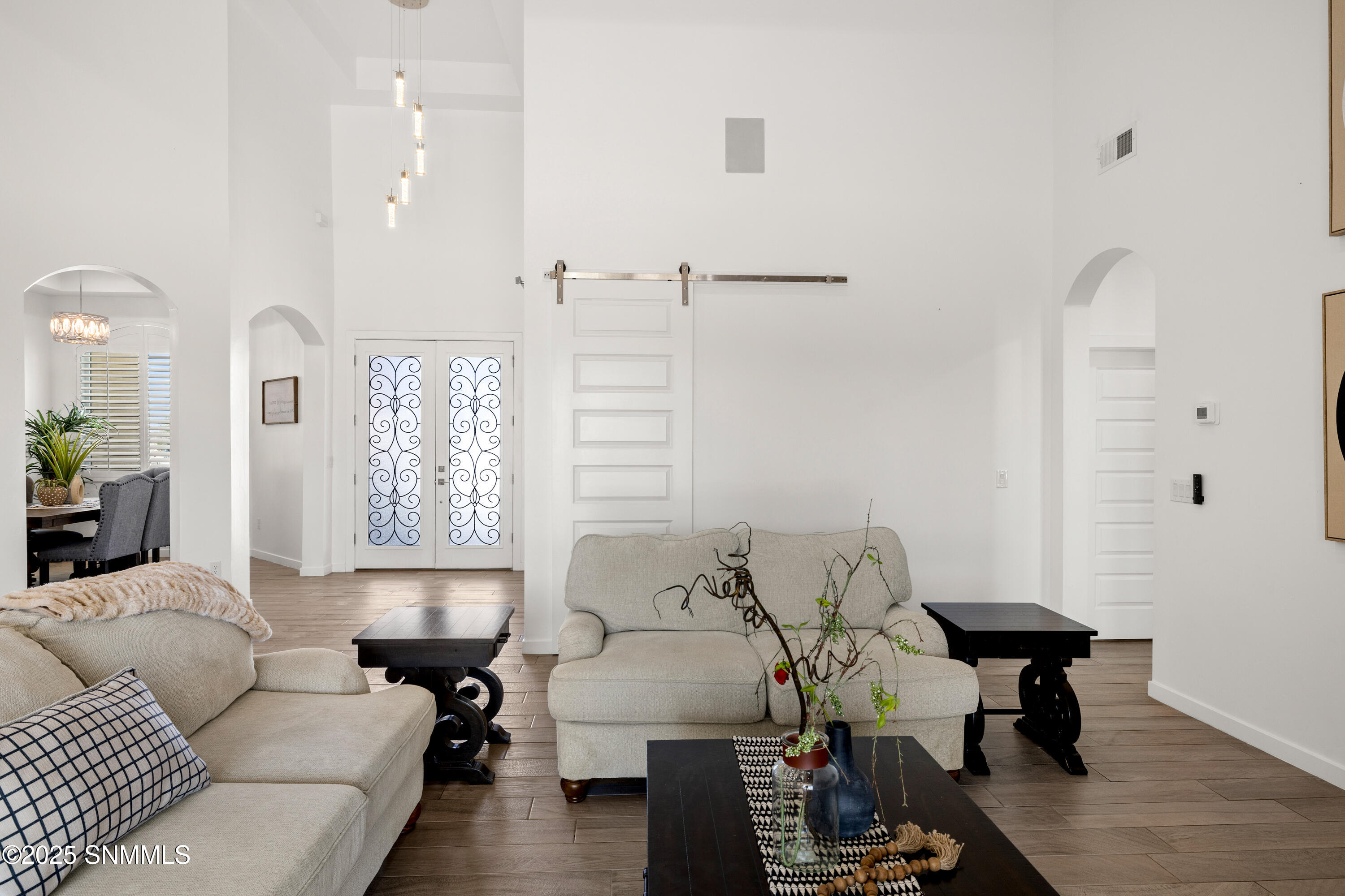 1122 Snowy Egret-MLS-Camera-Guy-9