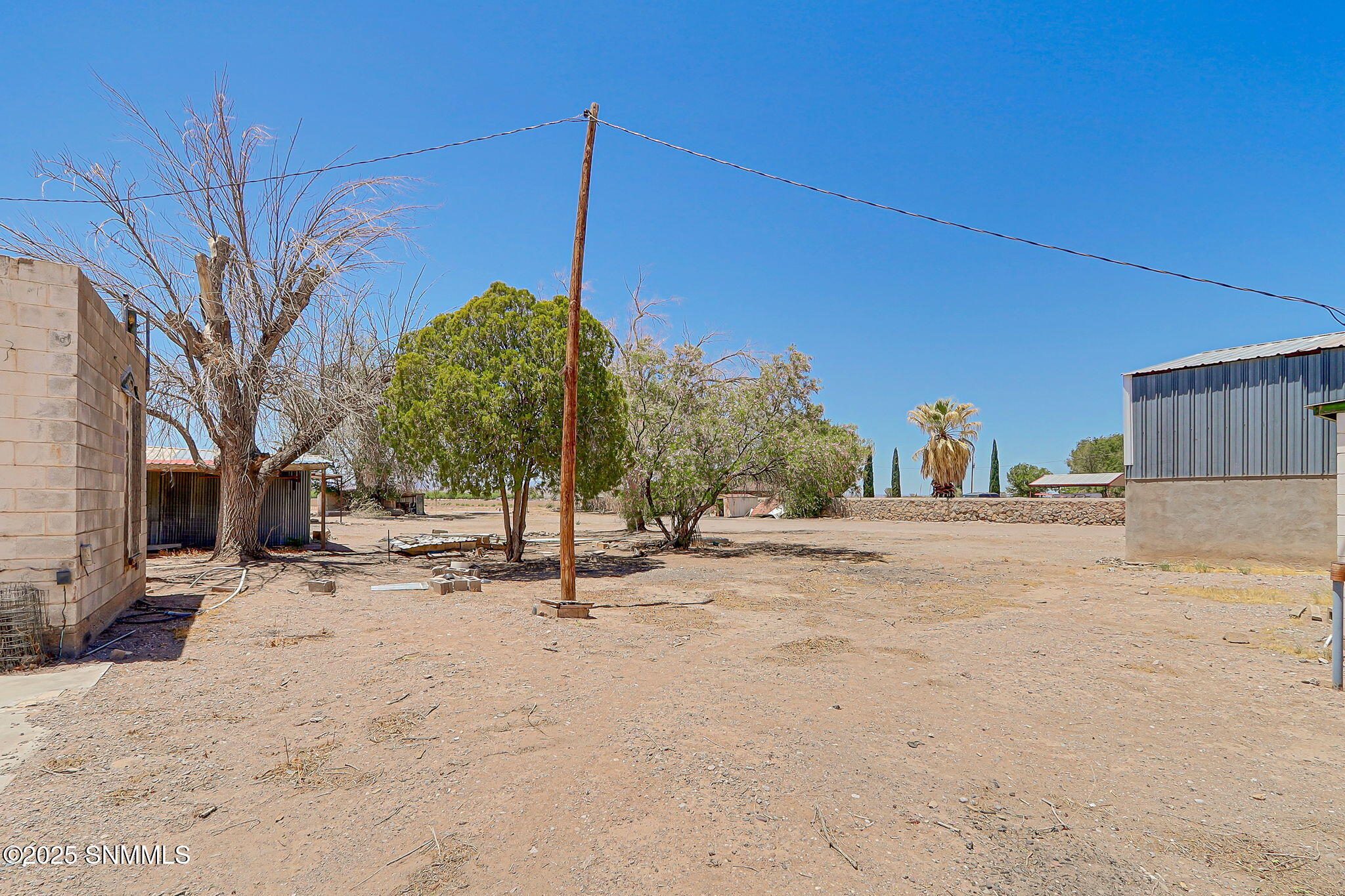 52-web-or-mls-IMG_8991