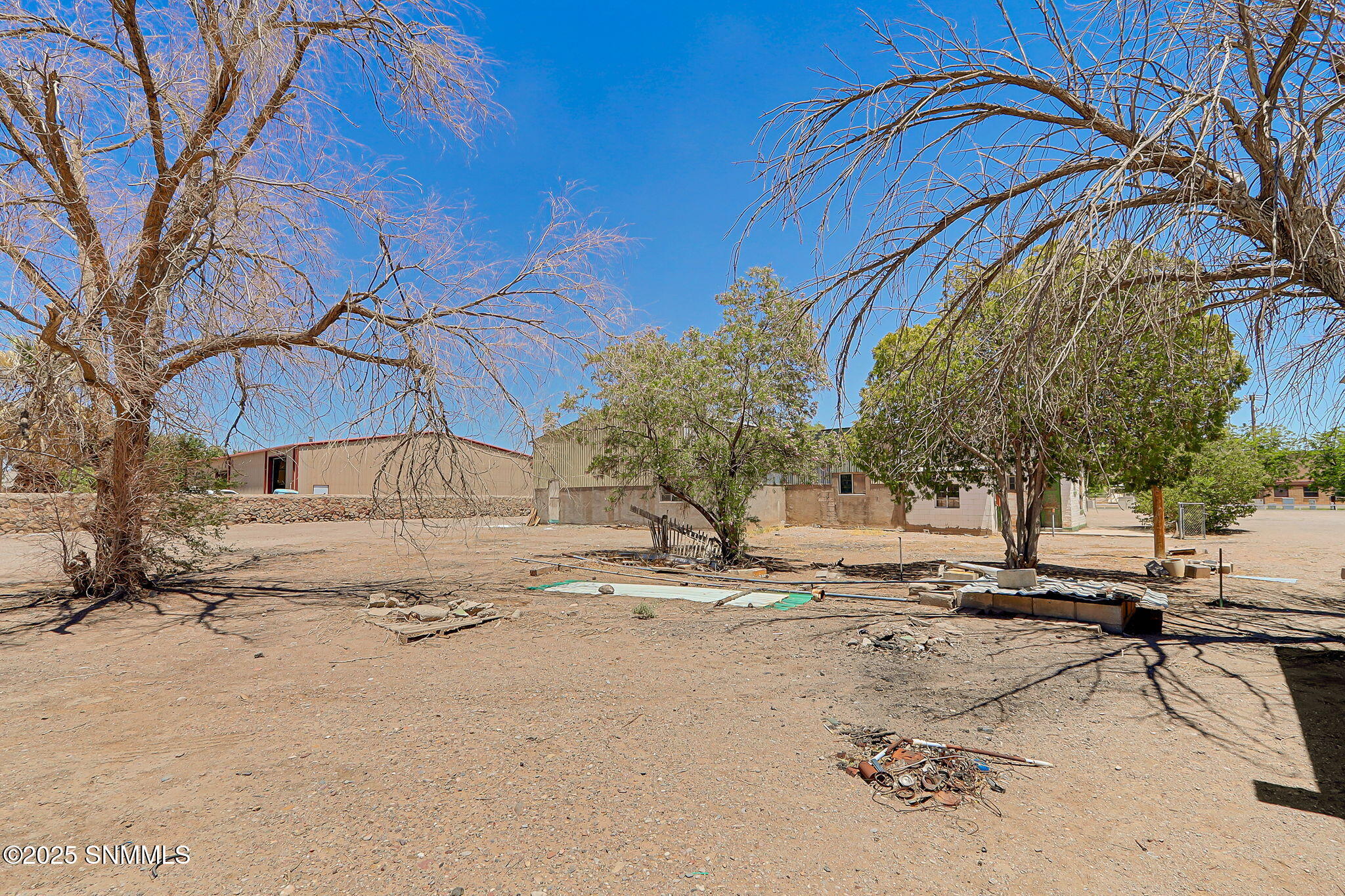 31-web-or-mls-IMG_8844