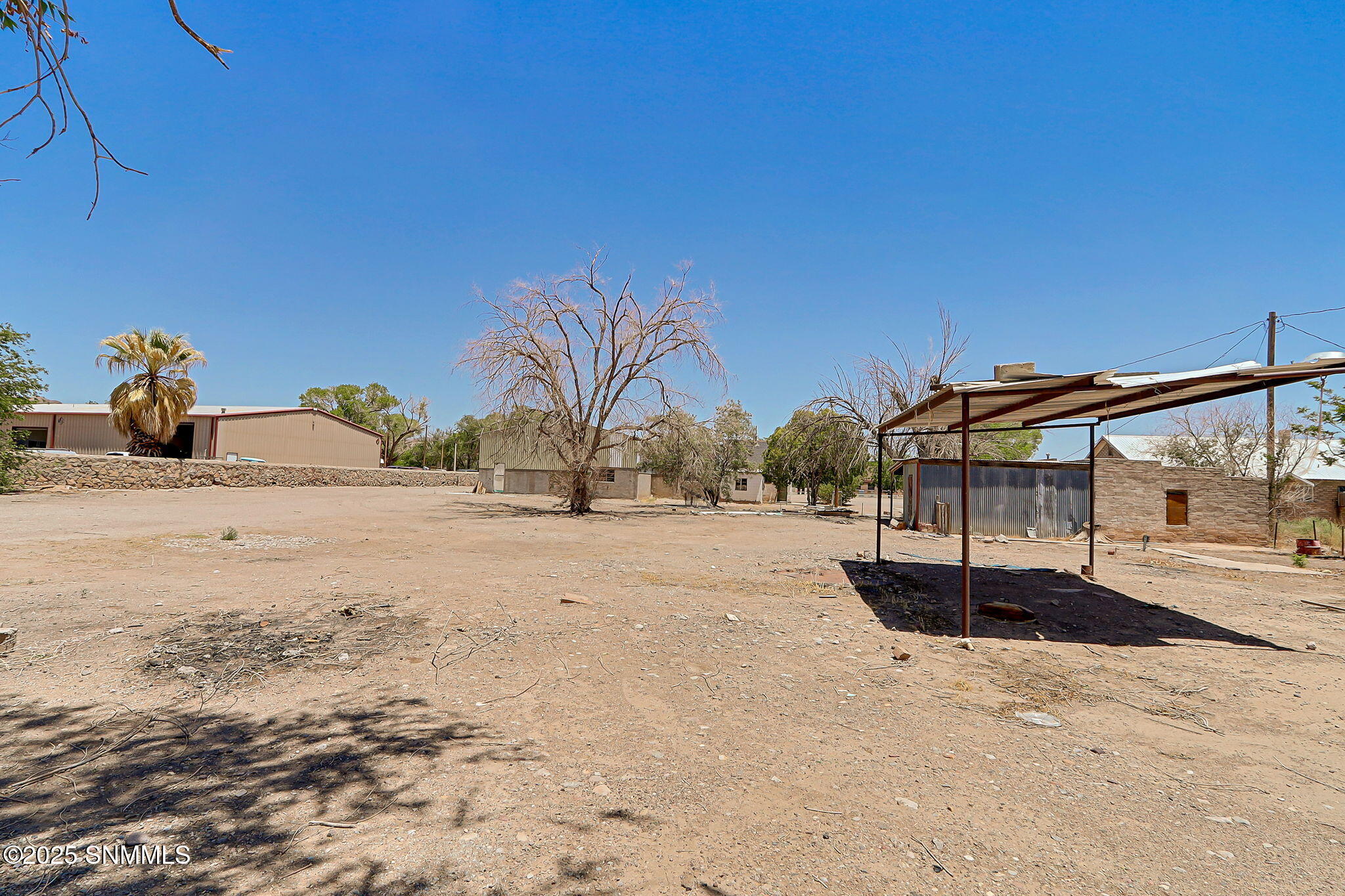 35-web-or-mls-IMG_8872