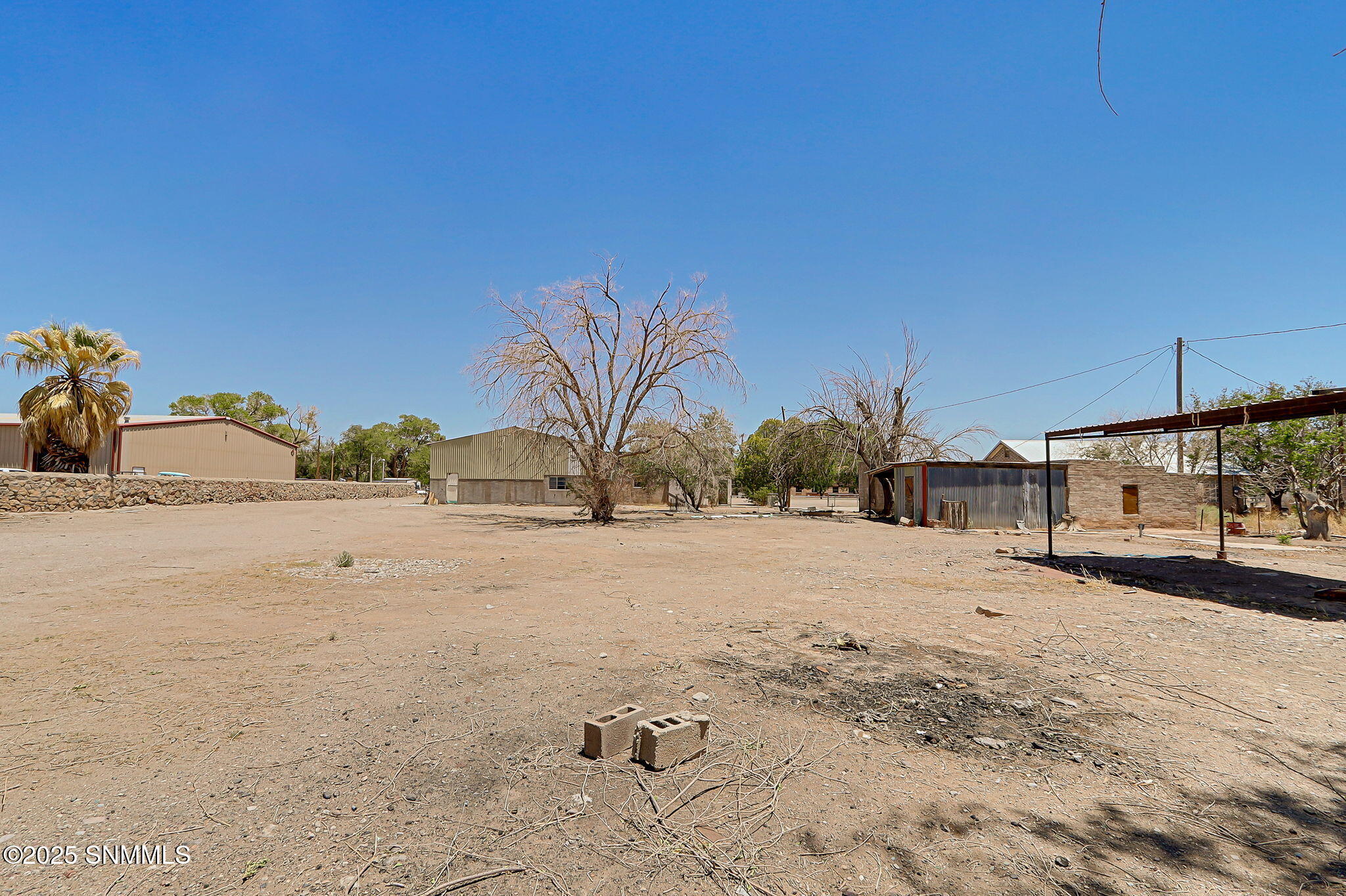 36-web-or-mls-IMG_8879