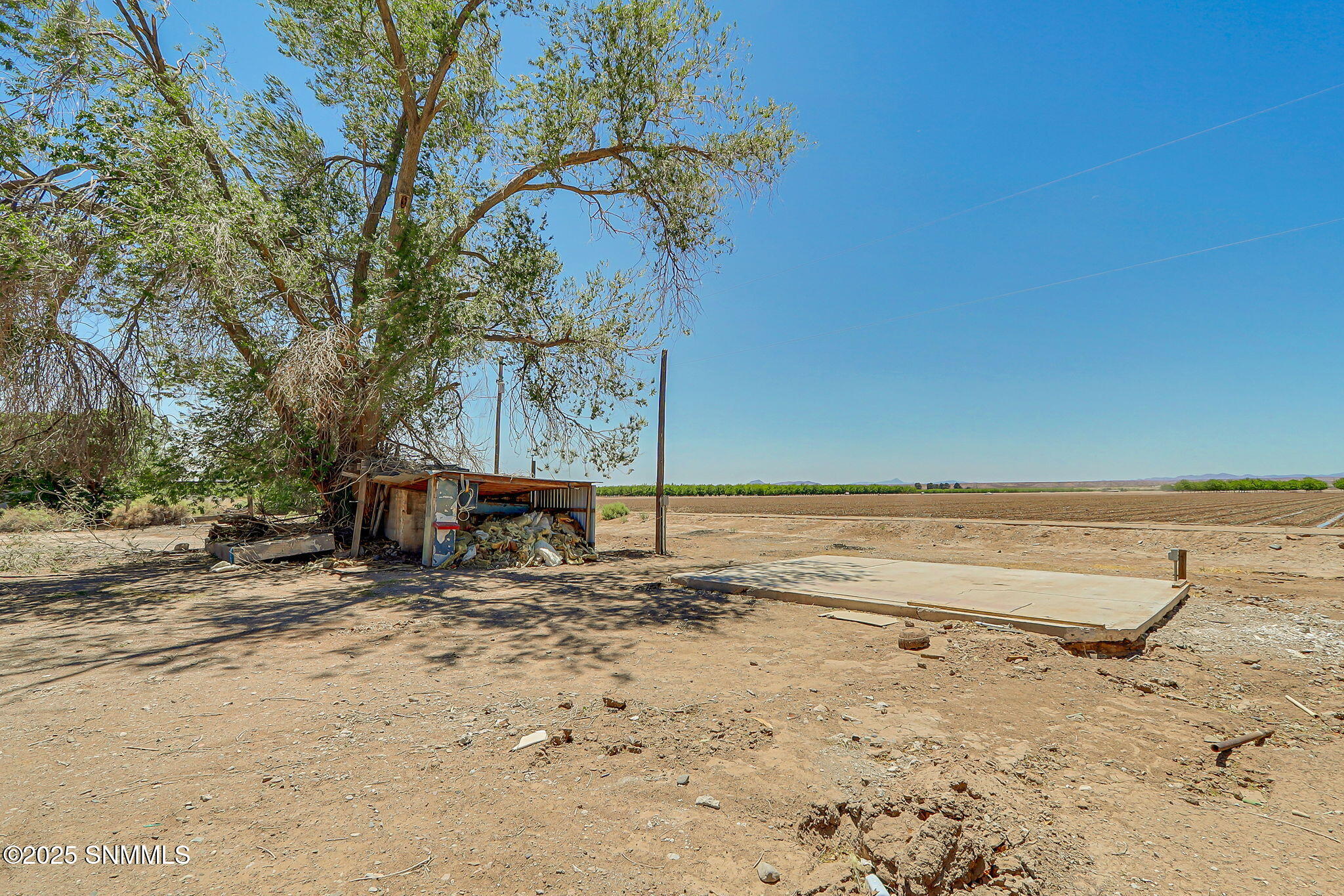 37-web-or-mls-IMG_8886