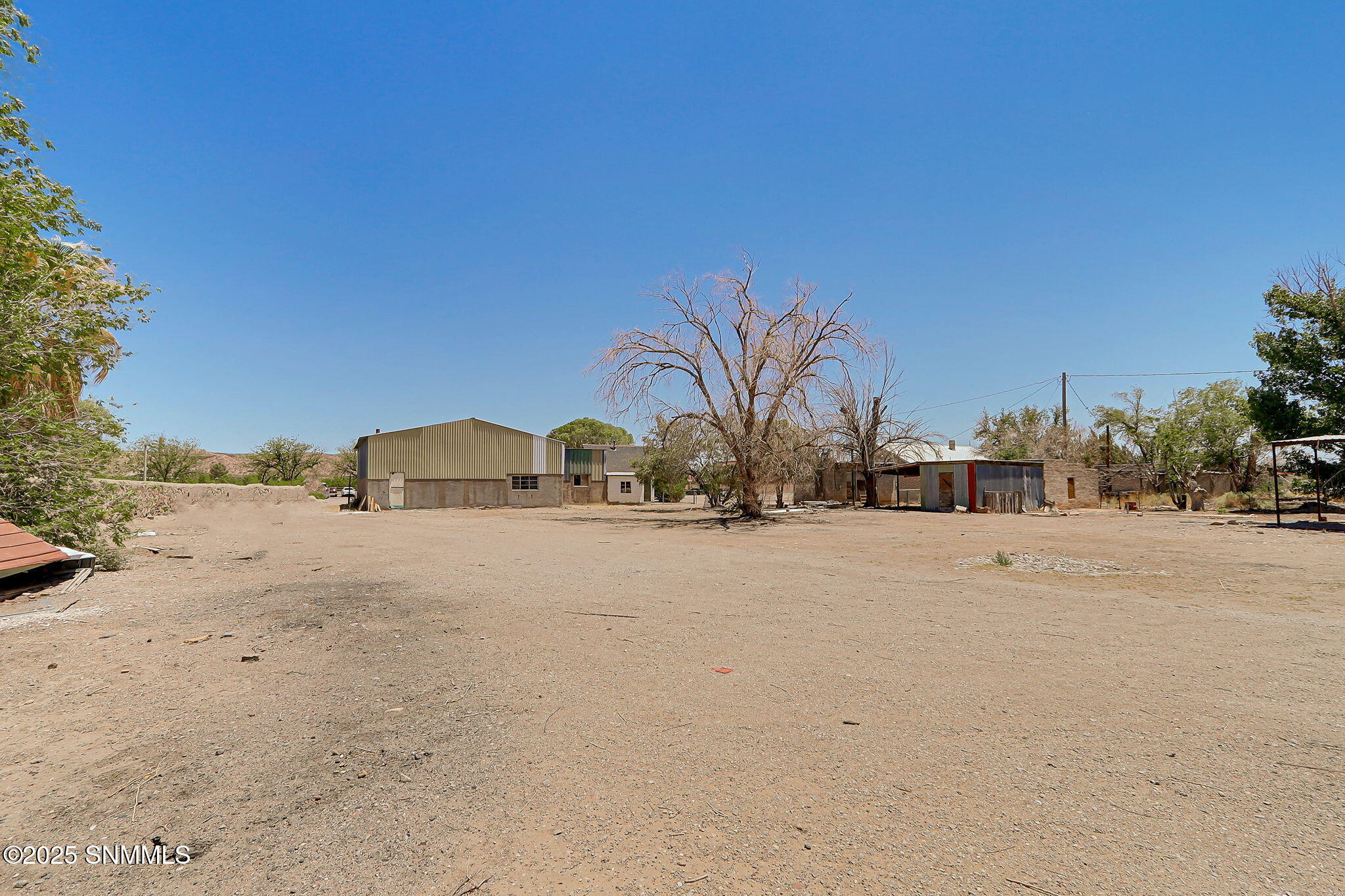 40-web-or-mls-IMG_8907