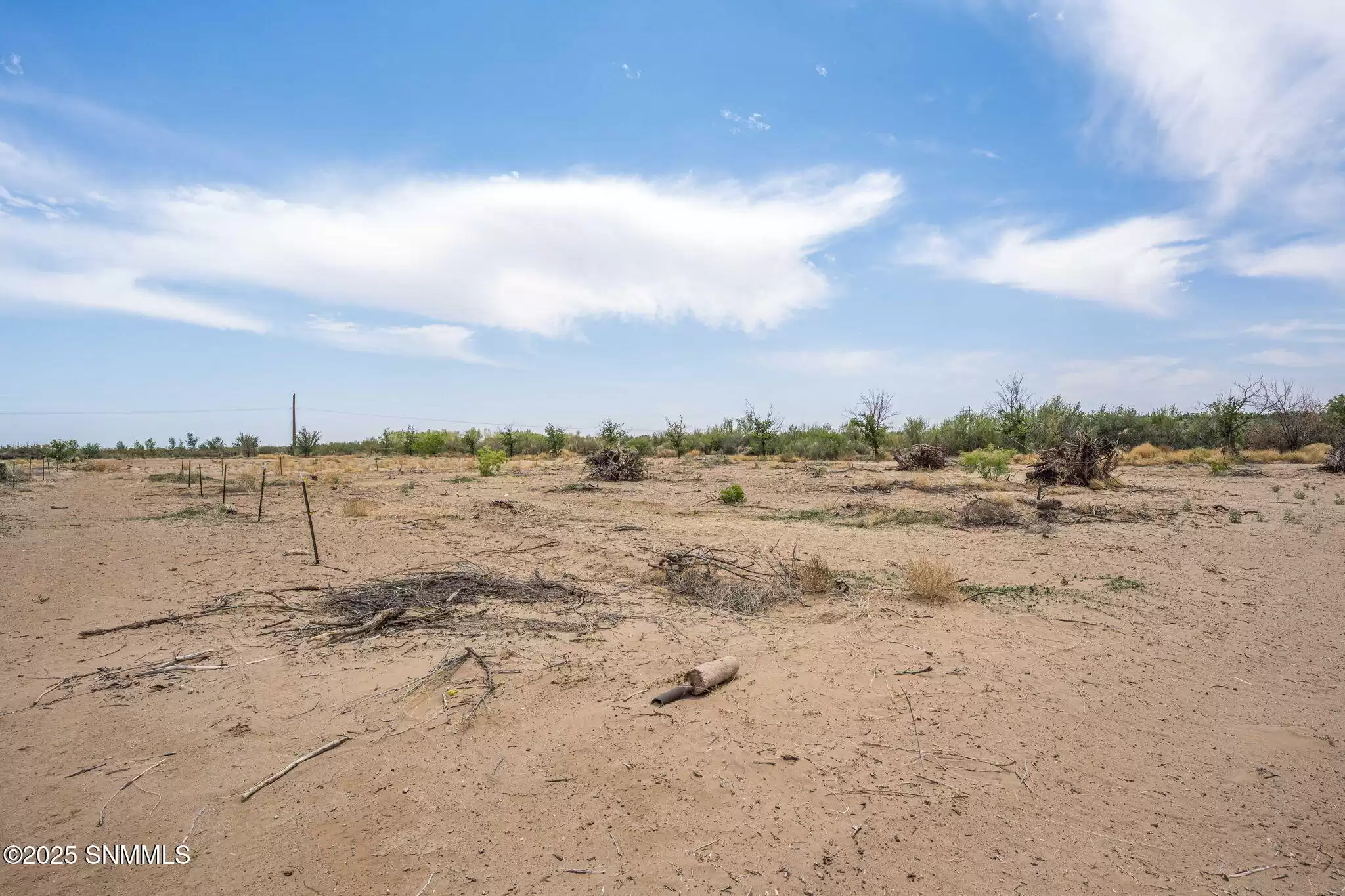 17-web-or-mls-Snappin Homes (WillowCreek