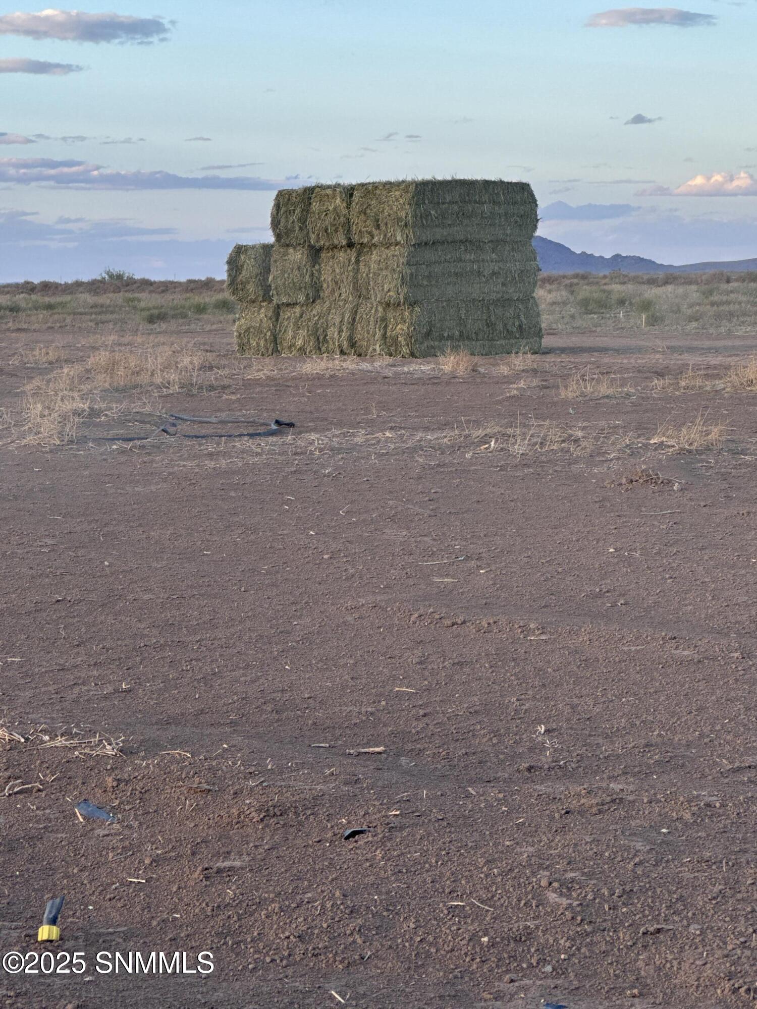 76836090130__2611E60F-D2F8-49E3-B0C7-12E