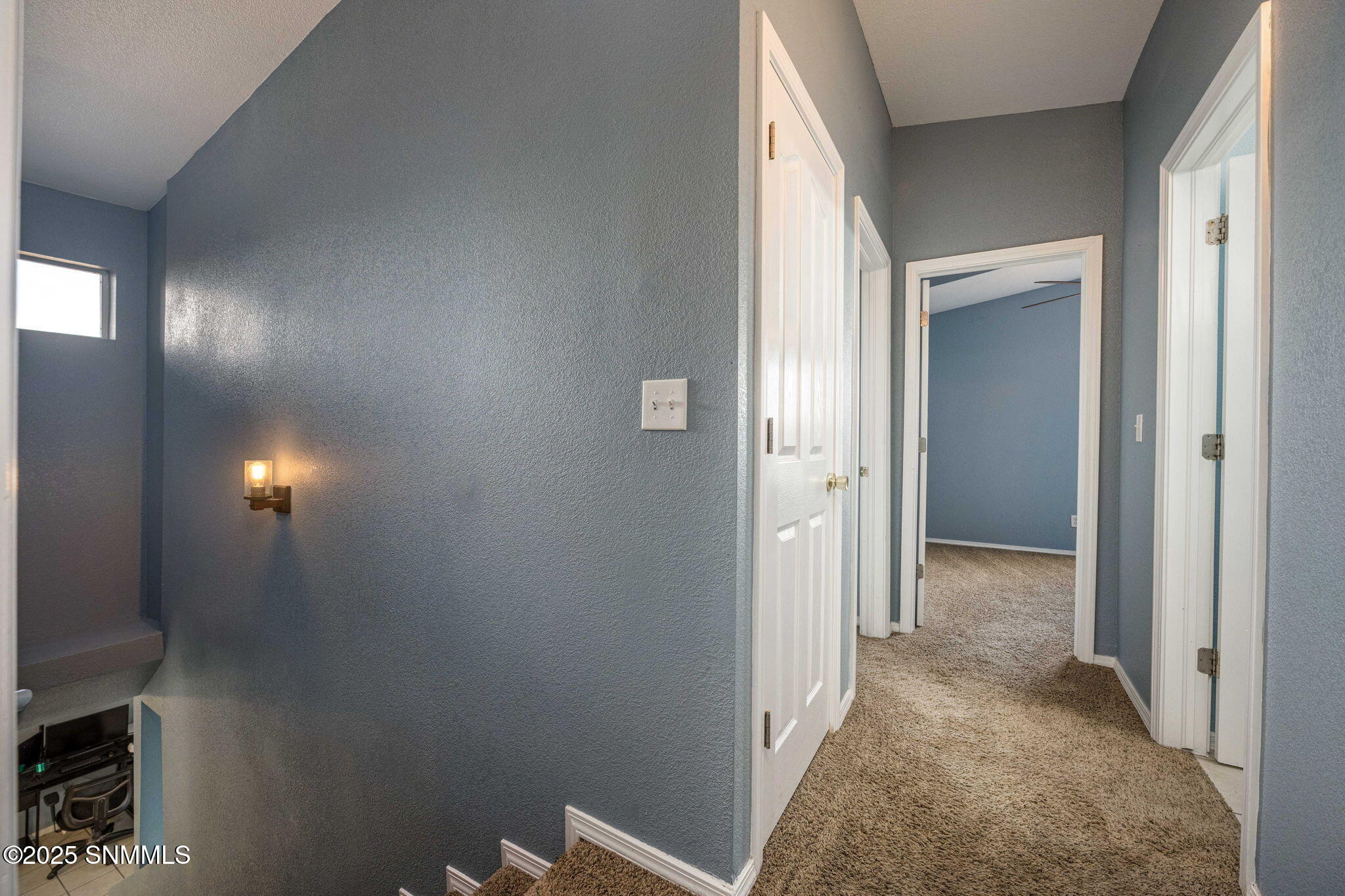 16-web-or-mls-Snappin Homes (Patagonia55