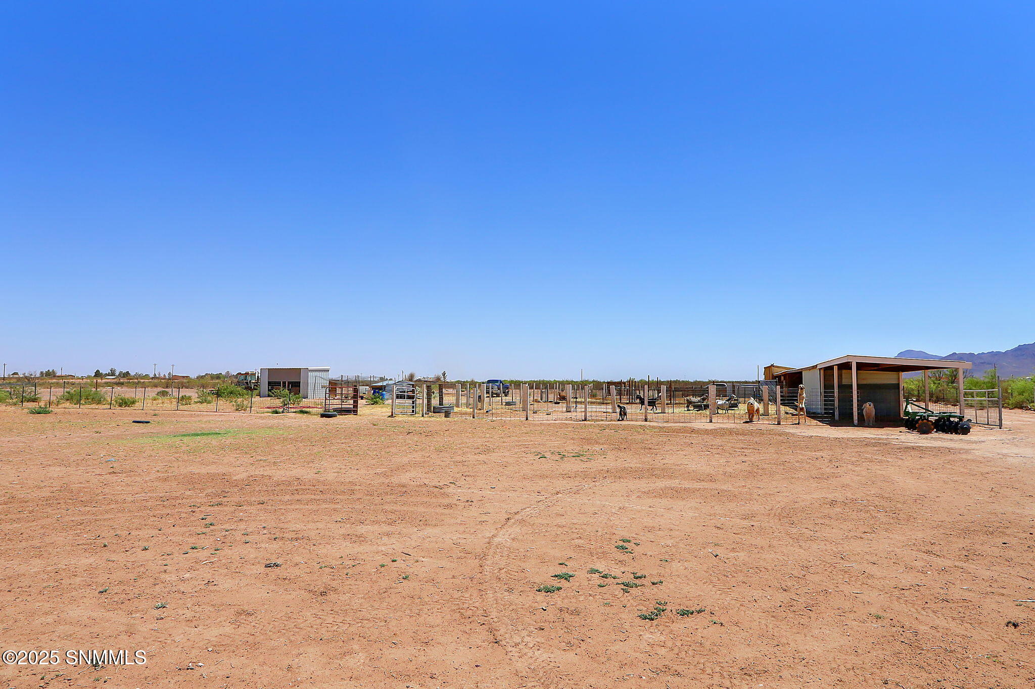 44-web-or-mls-IMG_8664