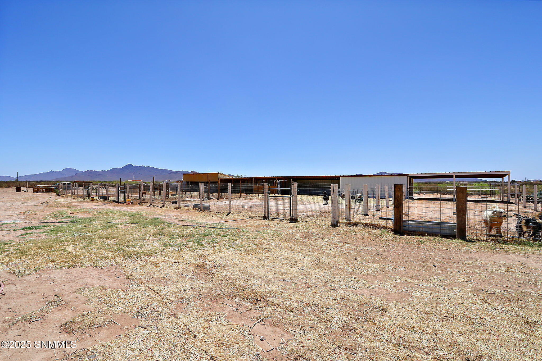 47-web-or-mls-IMG_8706