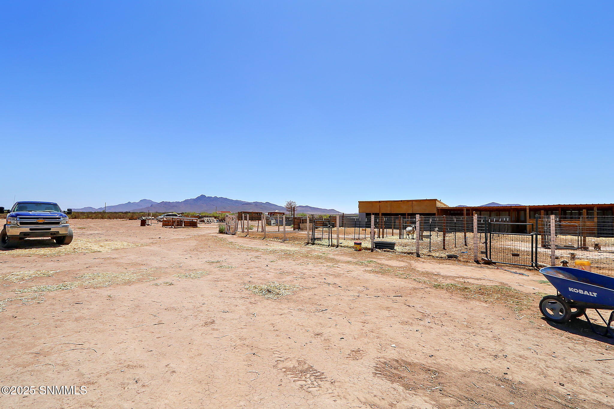 48-web-or-mls-IMG_8713