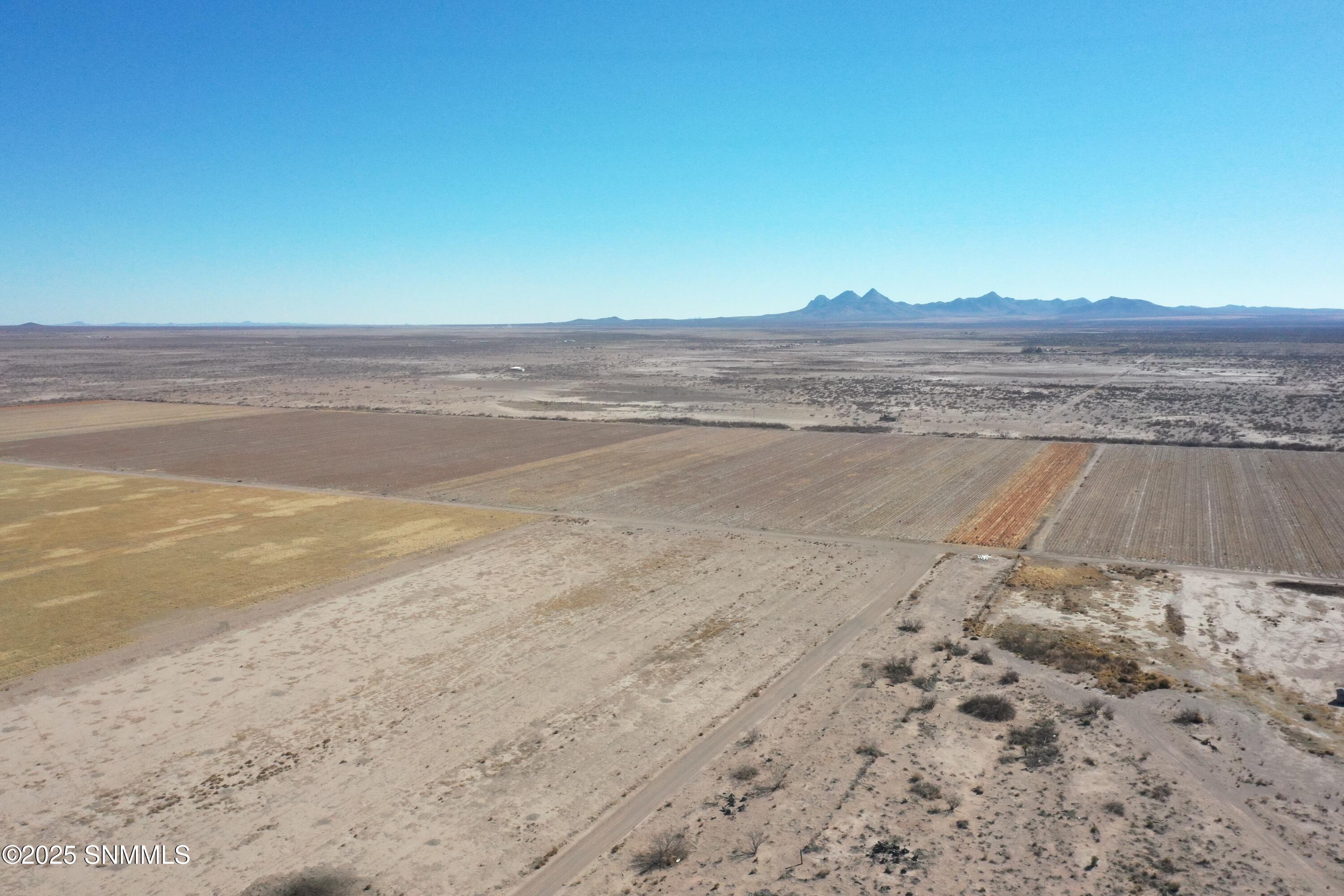 org_5b4a1d3ef4cbef1a_1738357206000 (1)