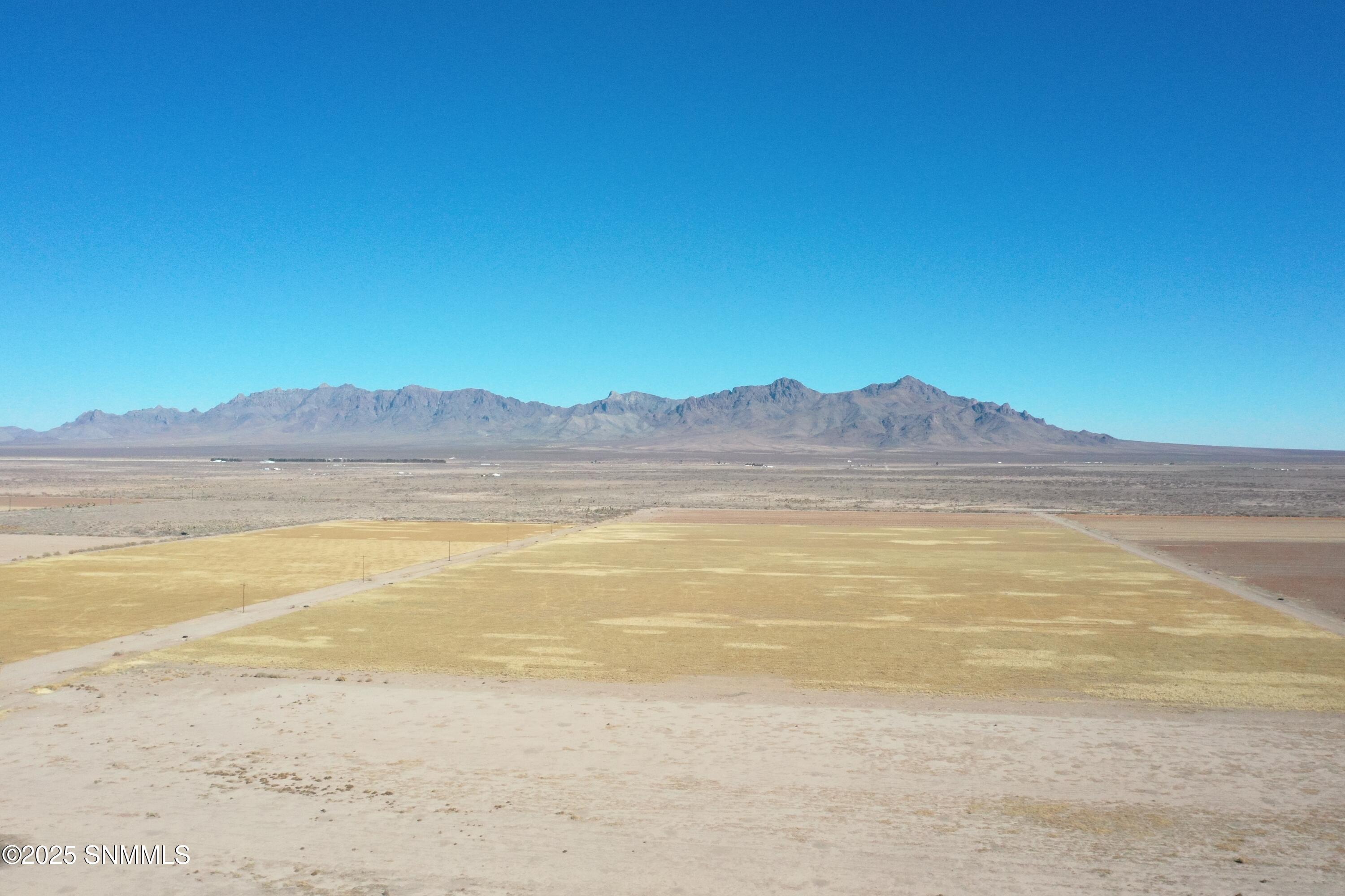 org_a86e1978034c2d44_1738357164000 (1)