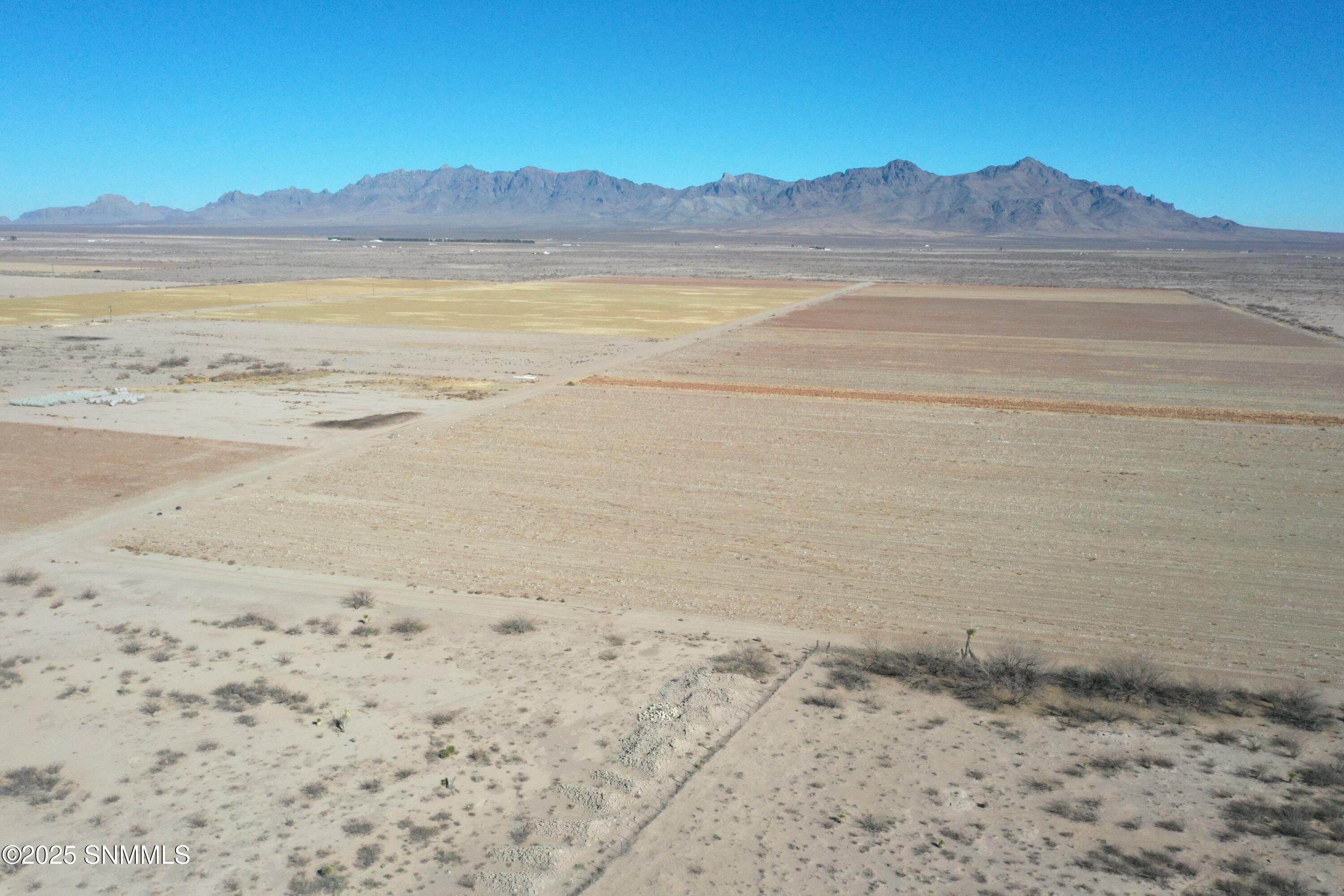 org_a20aca79b0ed40ef_1738357100000 (1)