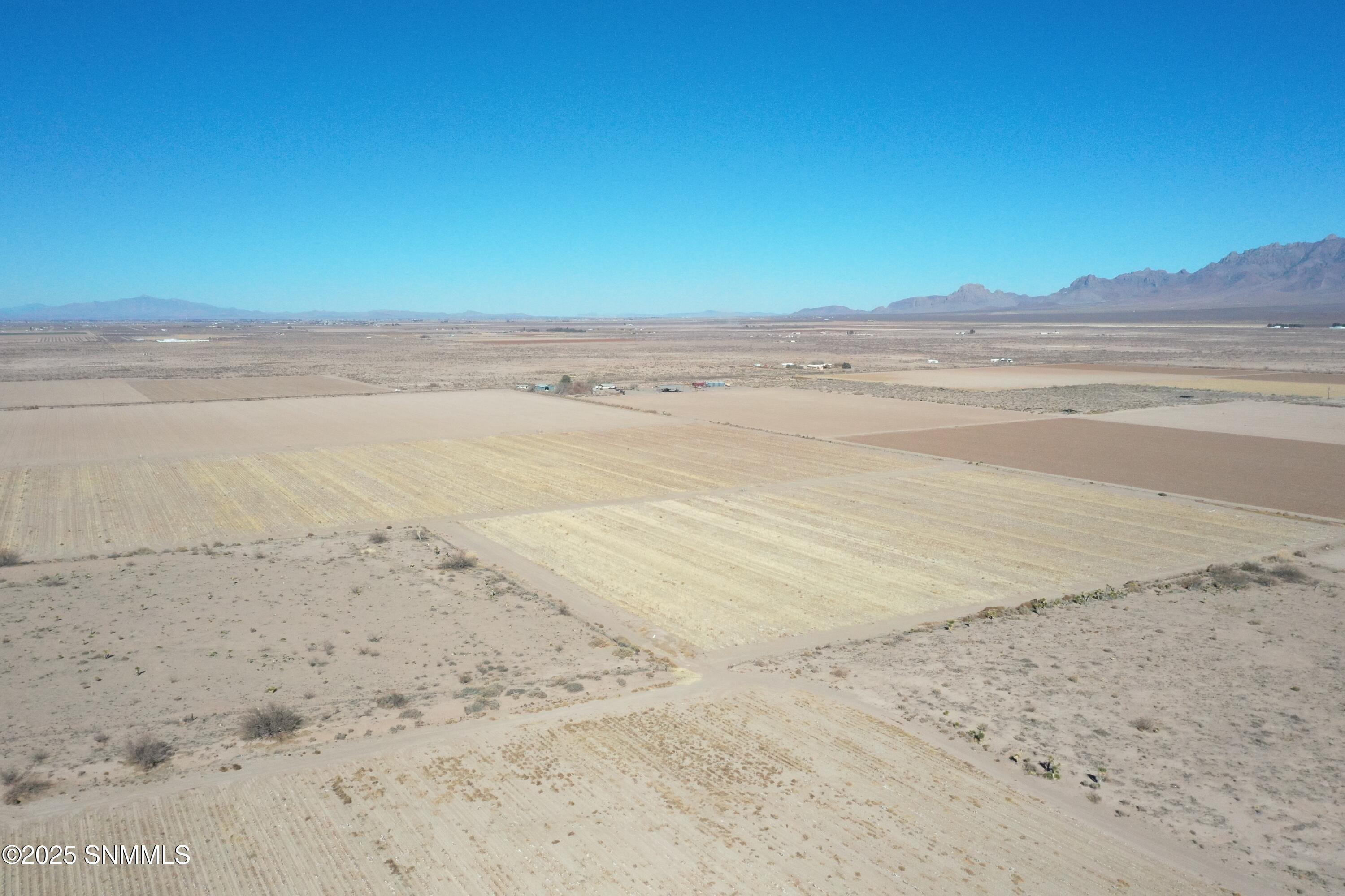 org_6d7d01918d94ea4e_1738357288000 (1)