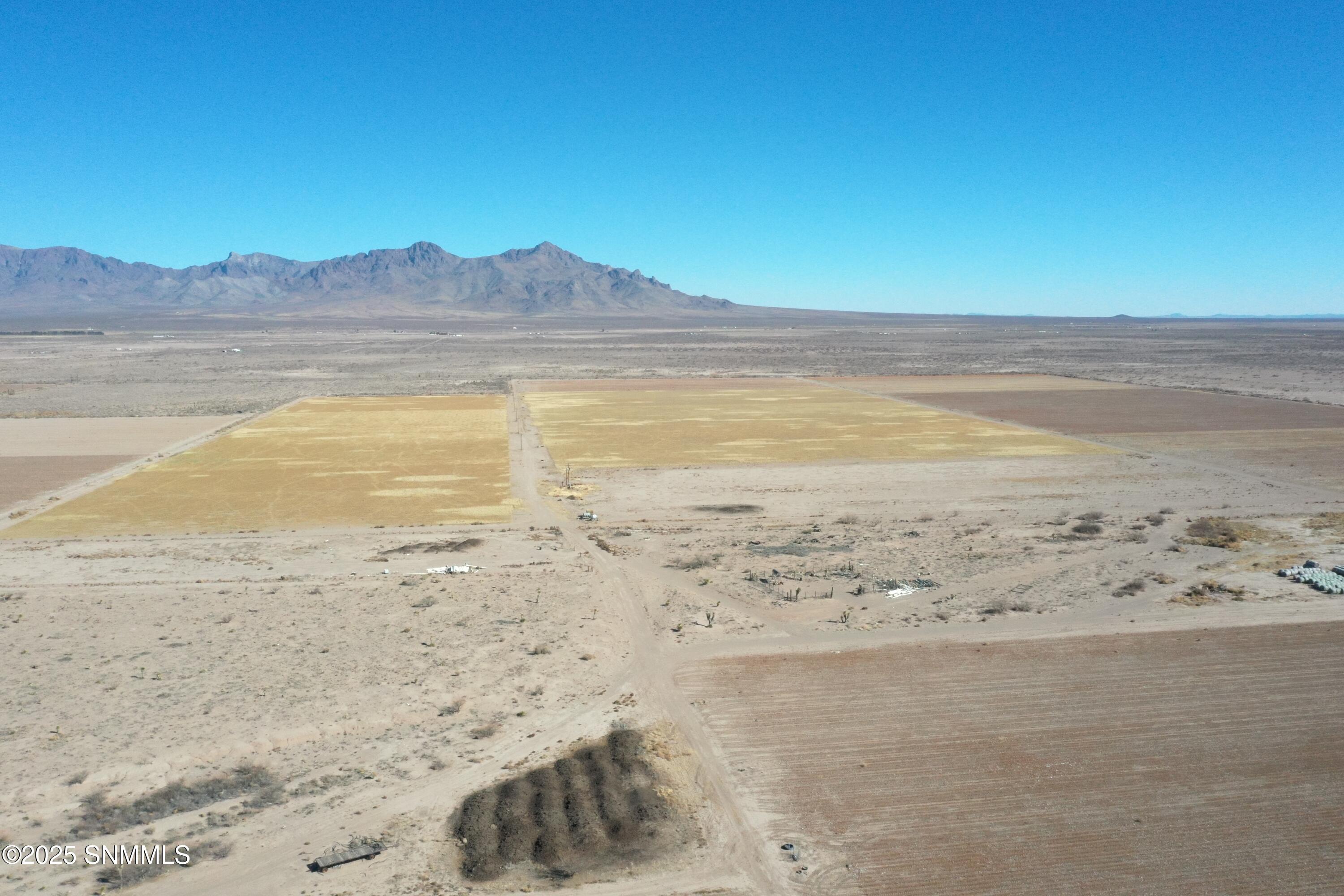 org_8cf4f096f4b08c59_1738357296000 (1)