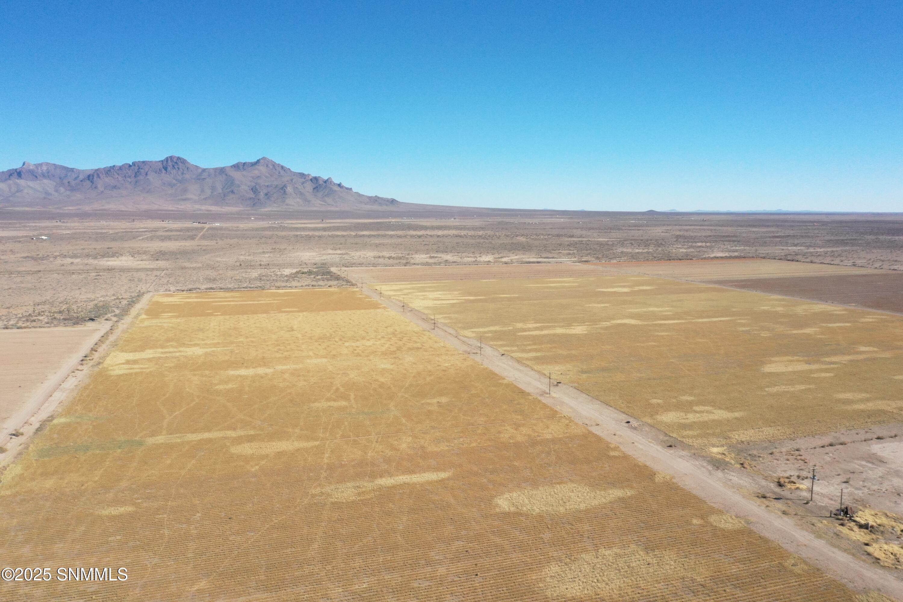 org_9baca54c0cd511fb_1738357228000 (1)